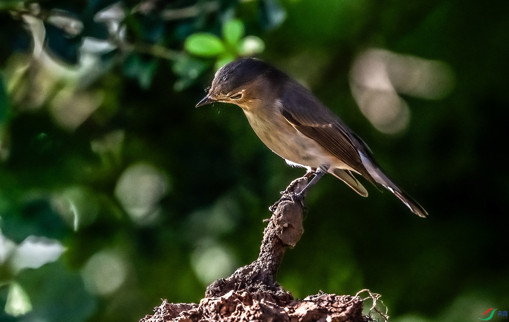 DSC_7749_1.jpg