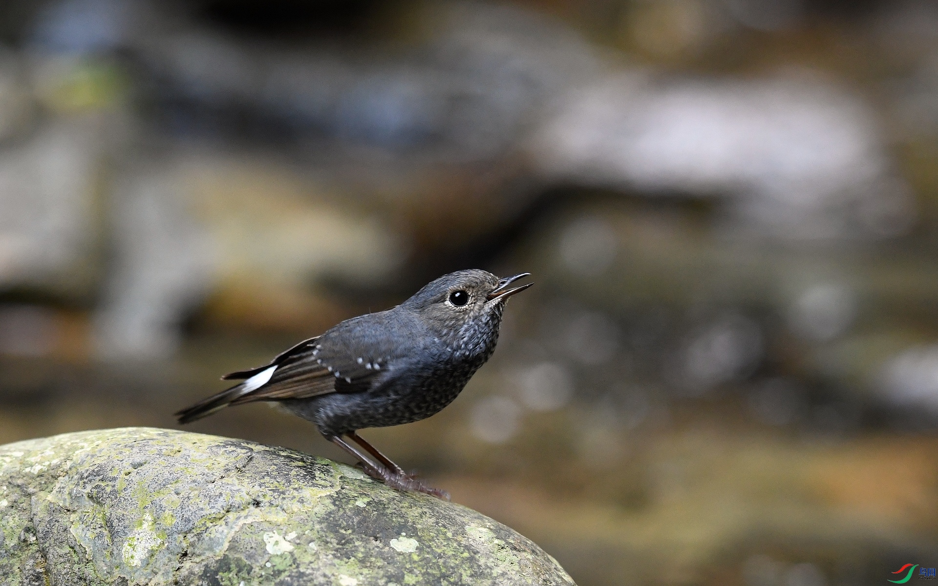 DSC_6761.jpg