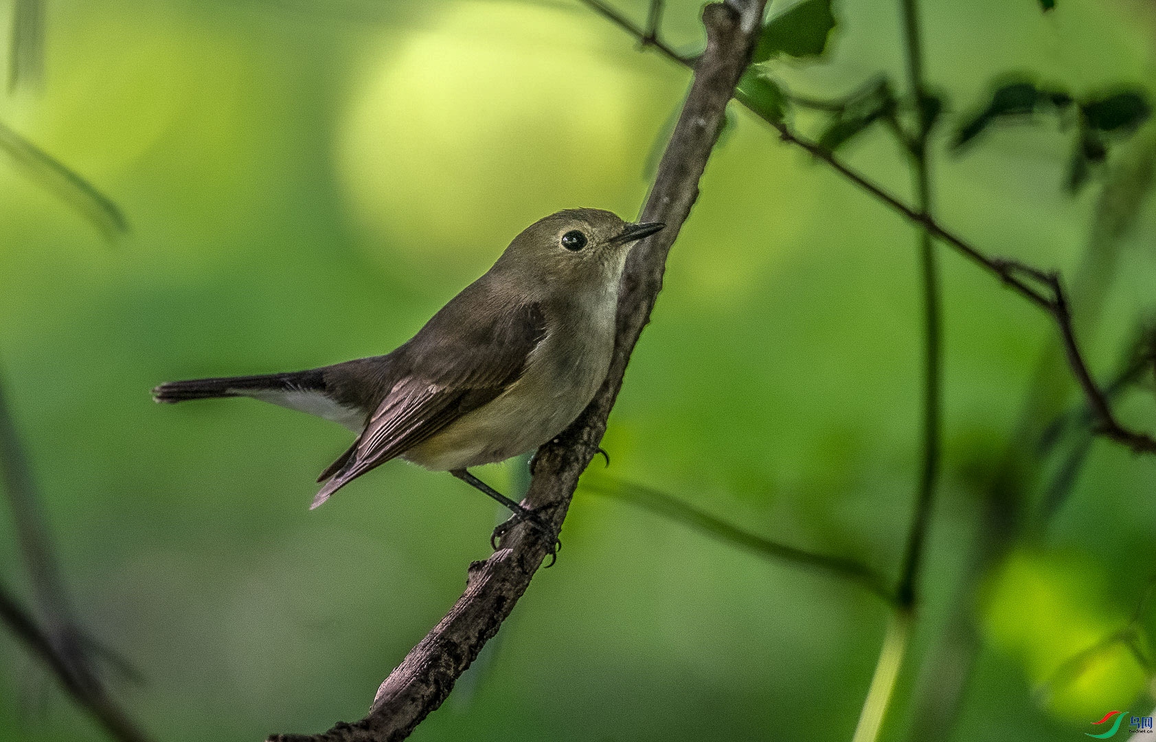DSC_7814_2.jpg