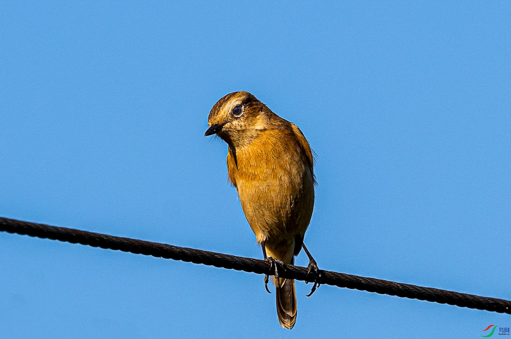 DSC_7868_3.jpg