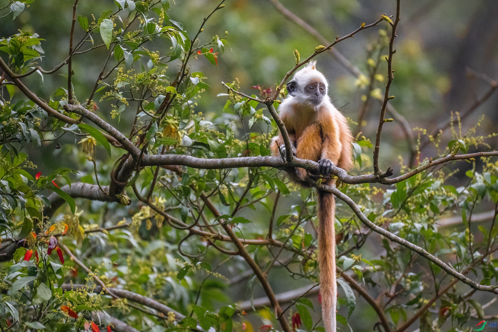 DSC_0032 ����-1.jpg