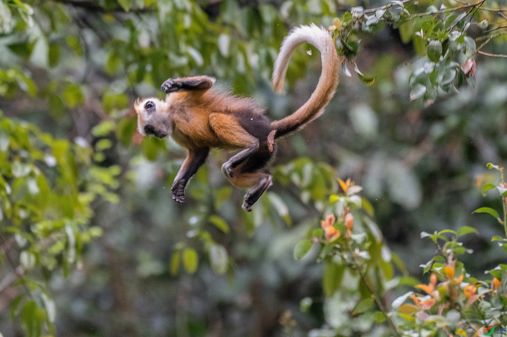 DSC_0130 ����-11.jpg