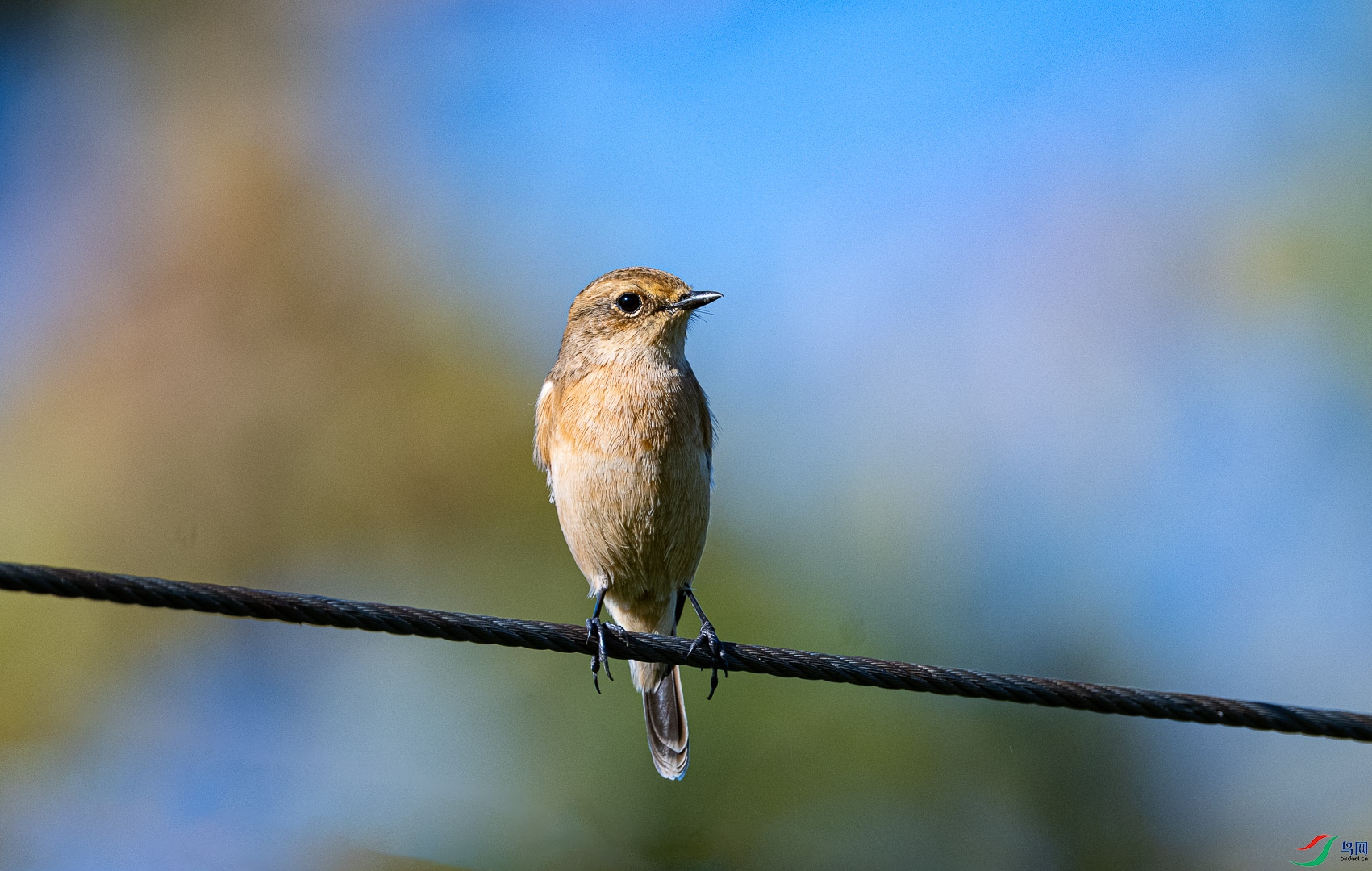 DSC_7902_2.jpg