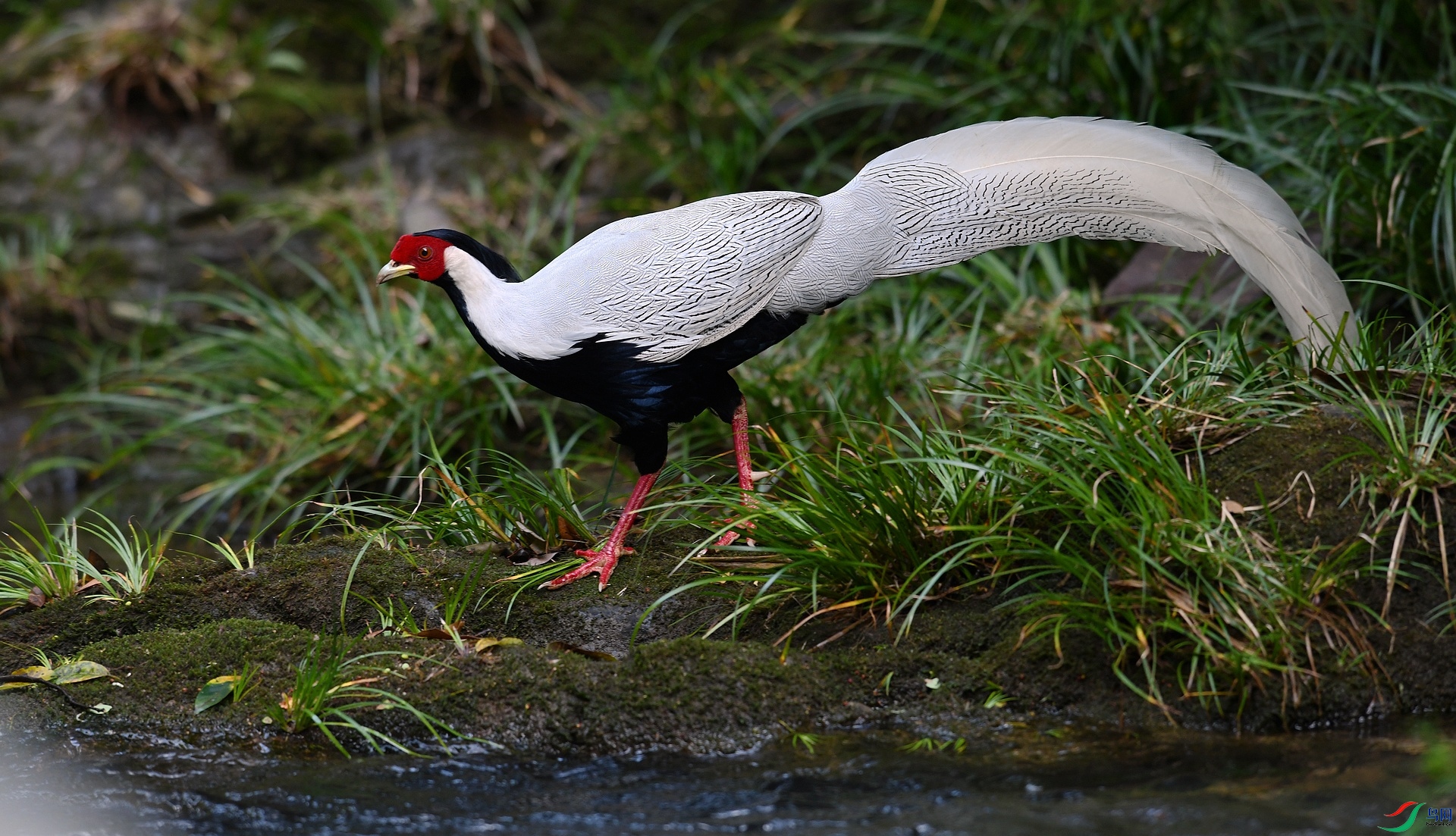 DSC_5216.jpg