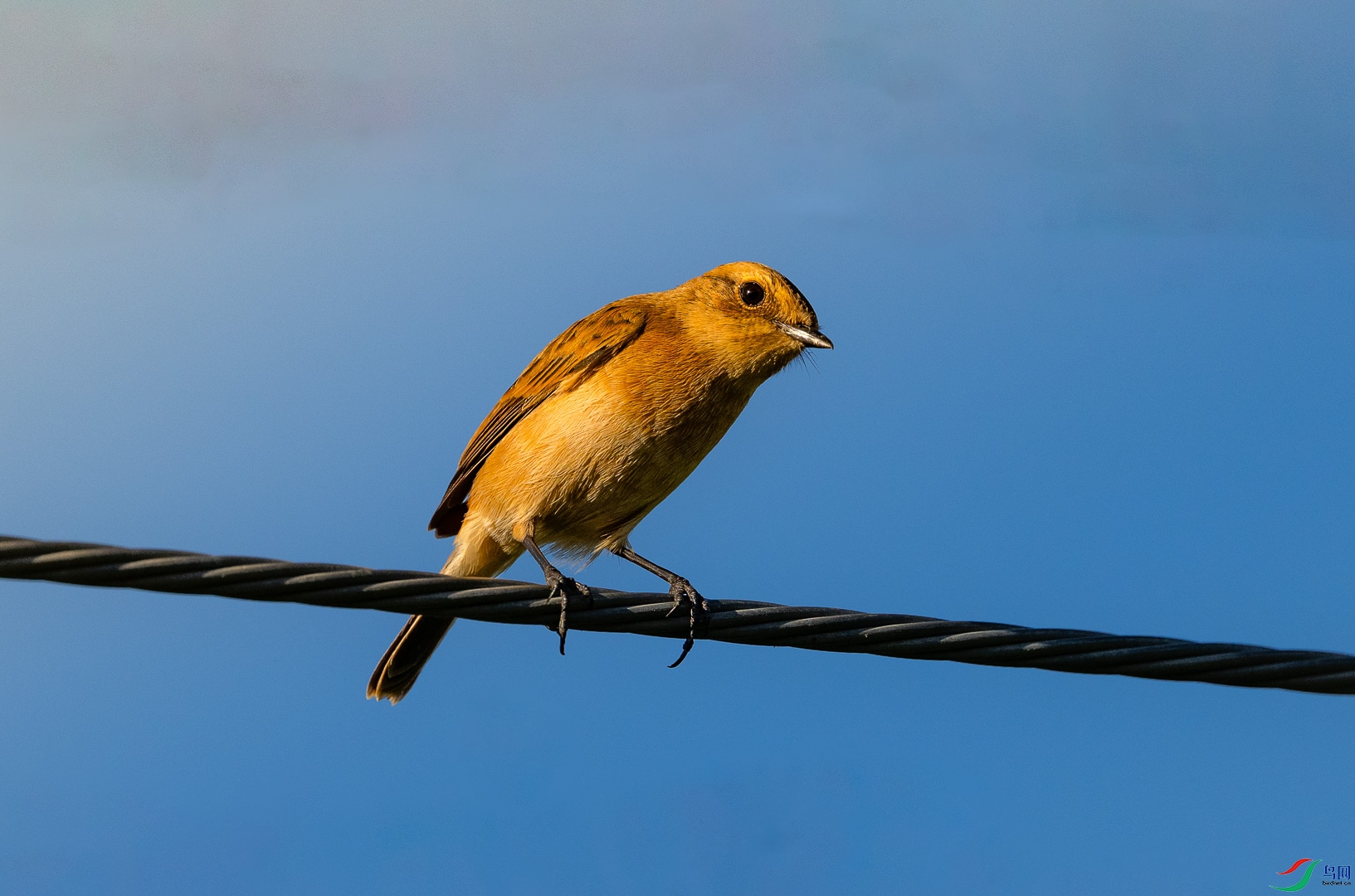 DSC_7960_2.jpg