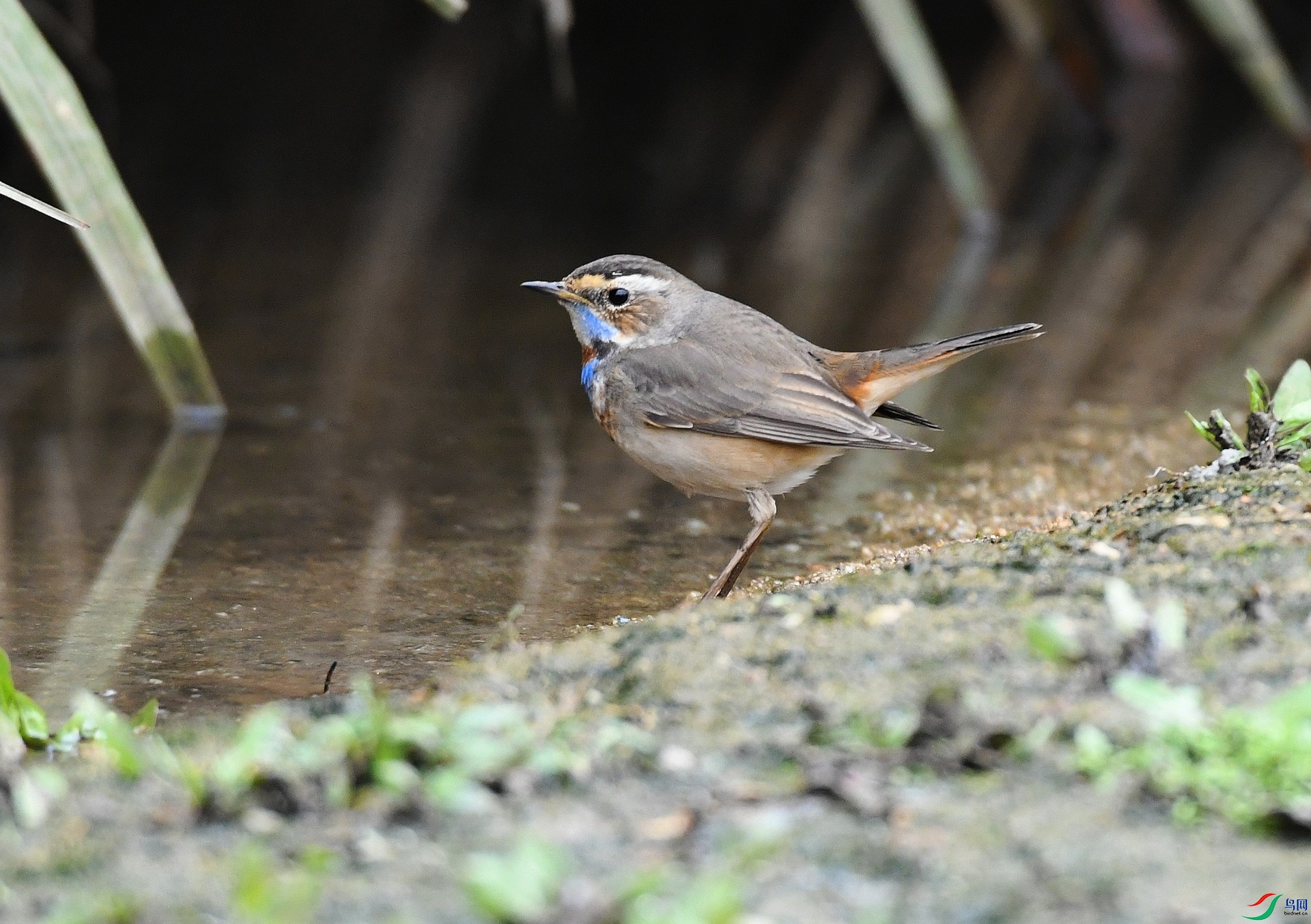 DSC_0580.jpg