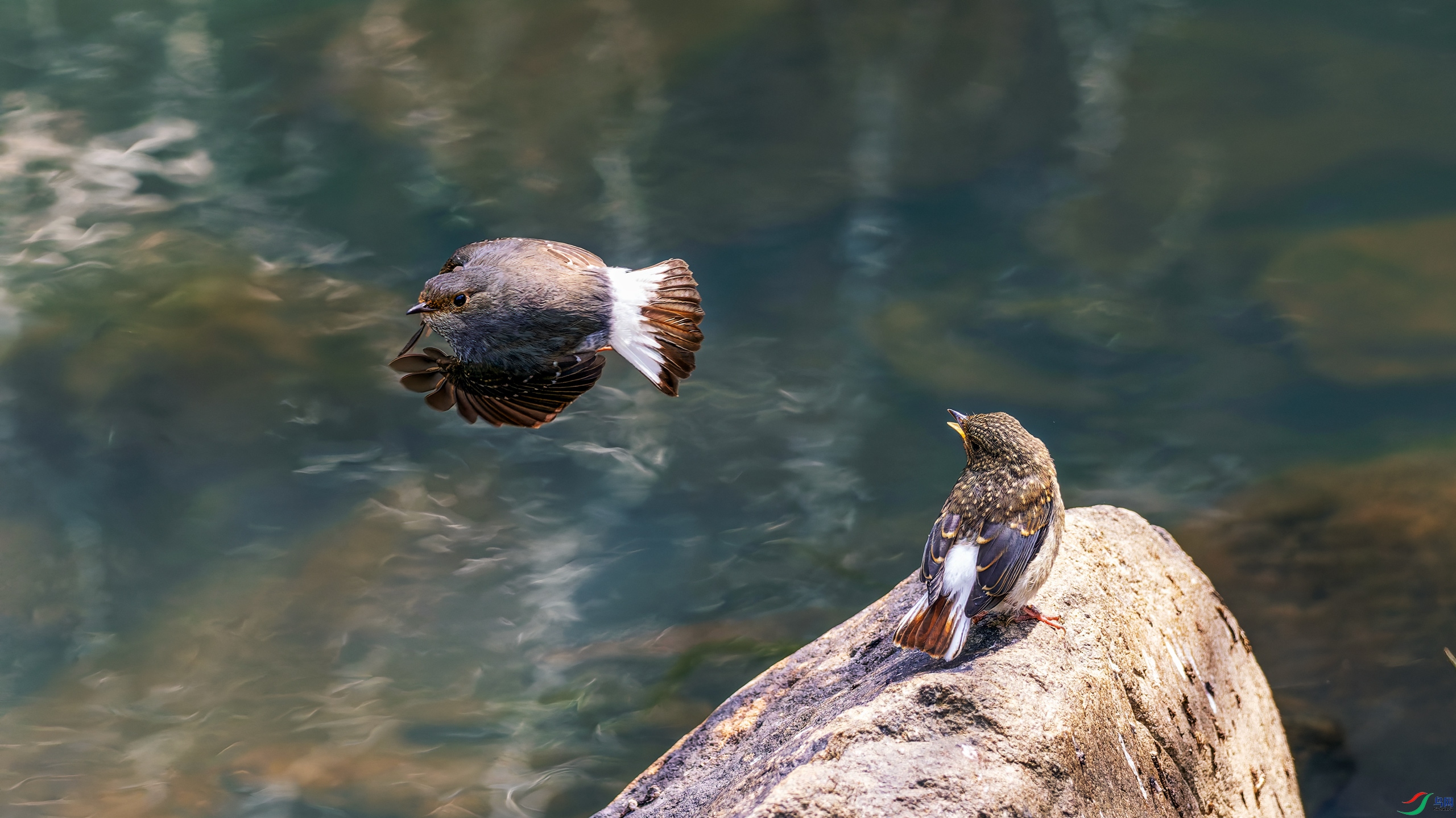 P4021919_O.jpg
