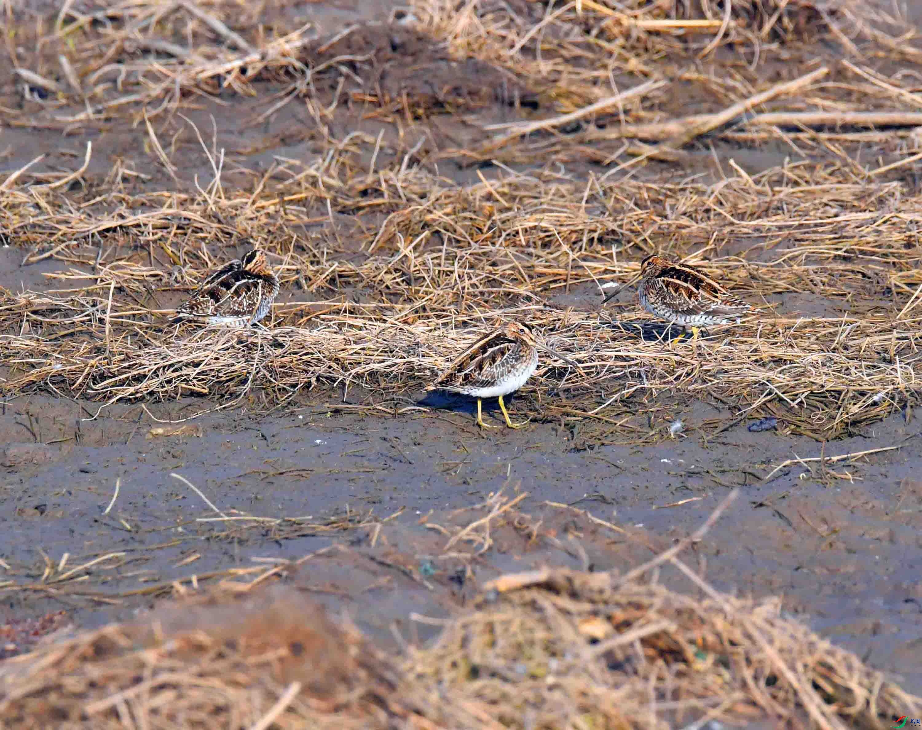 DSC_8442.JPG