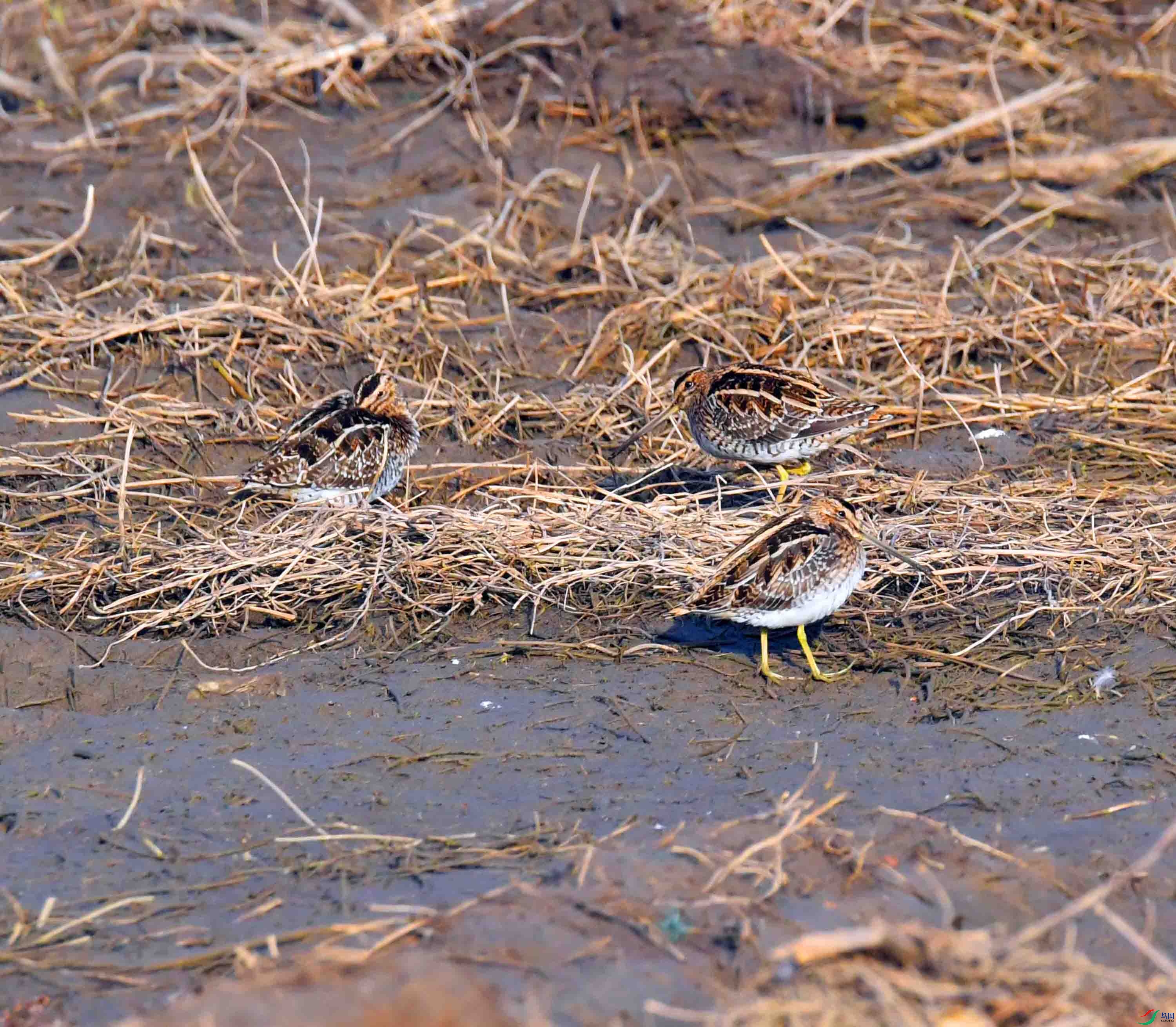 DSC_8446.JPG