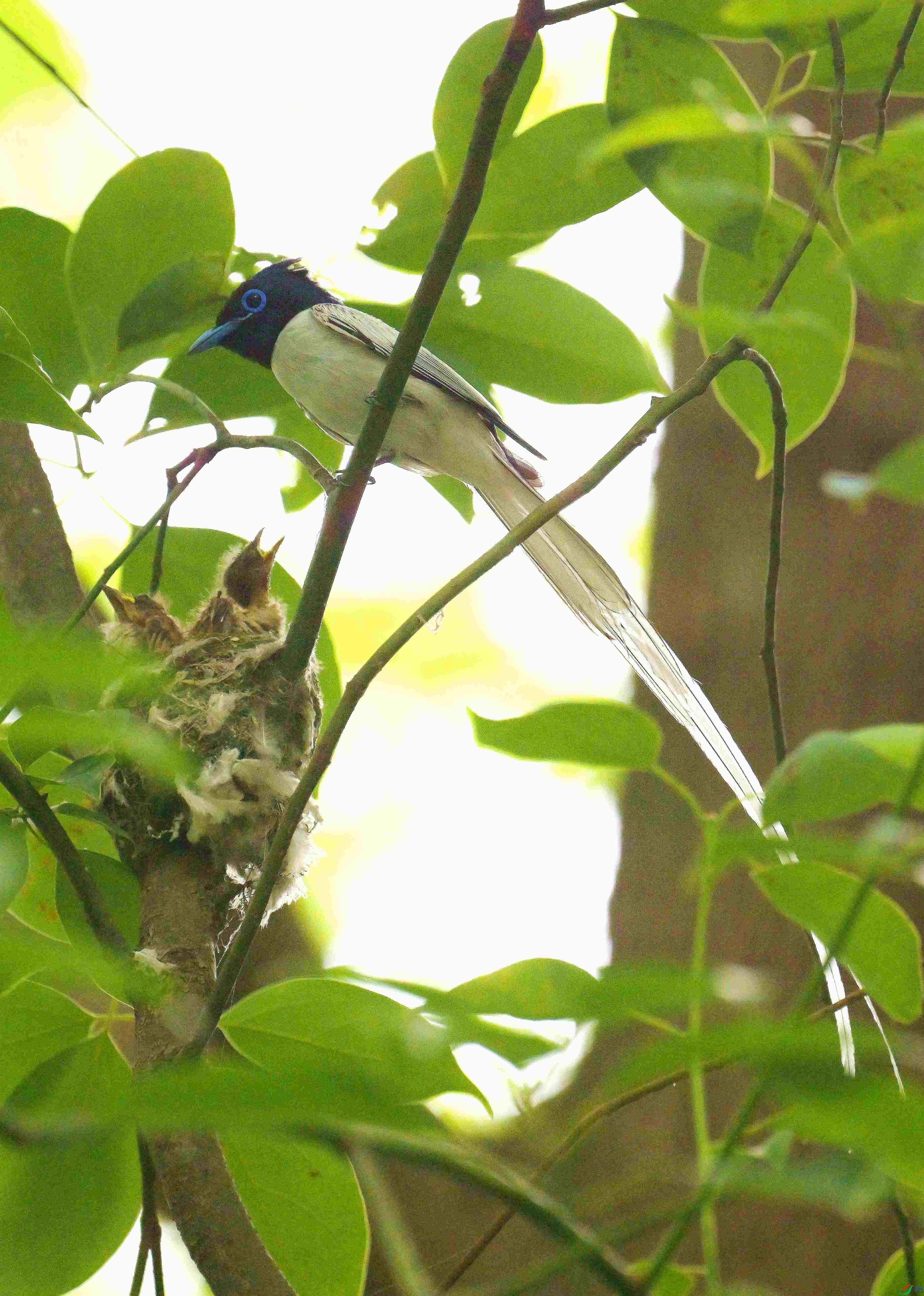 DSC_9062.jpg