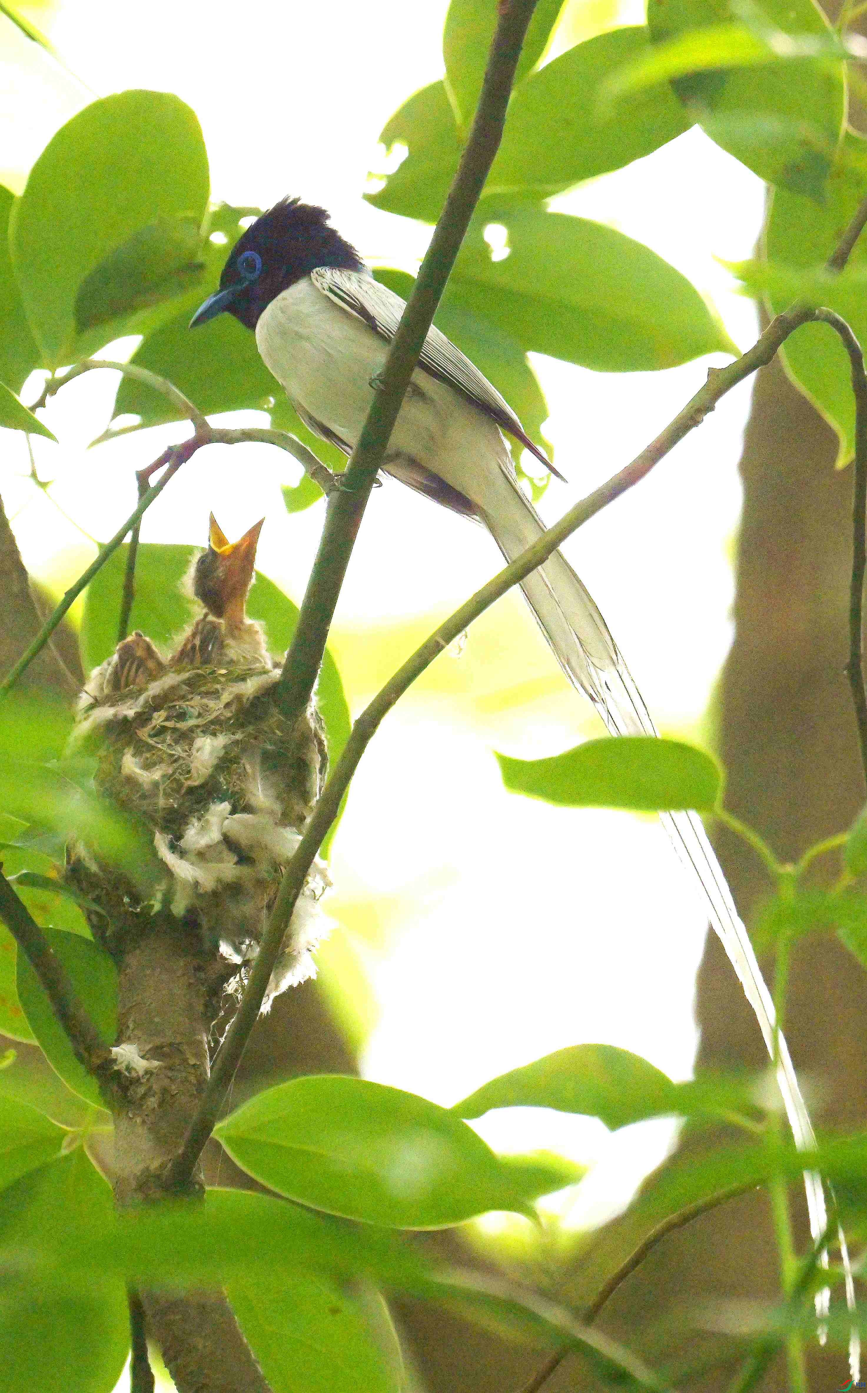DSC_9088.jpg
