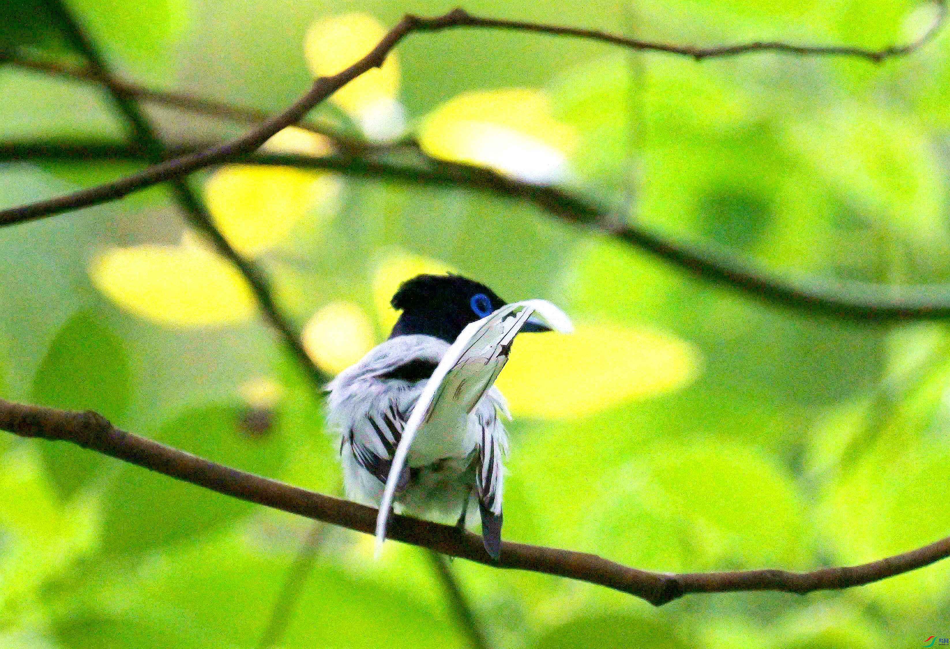 DSC_9194.jpg