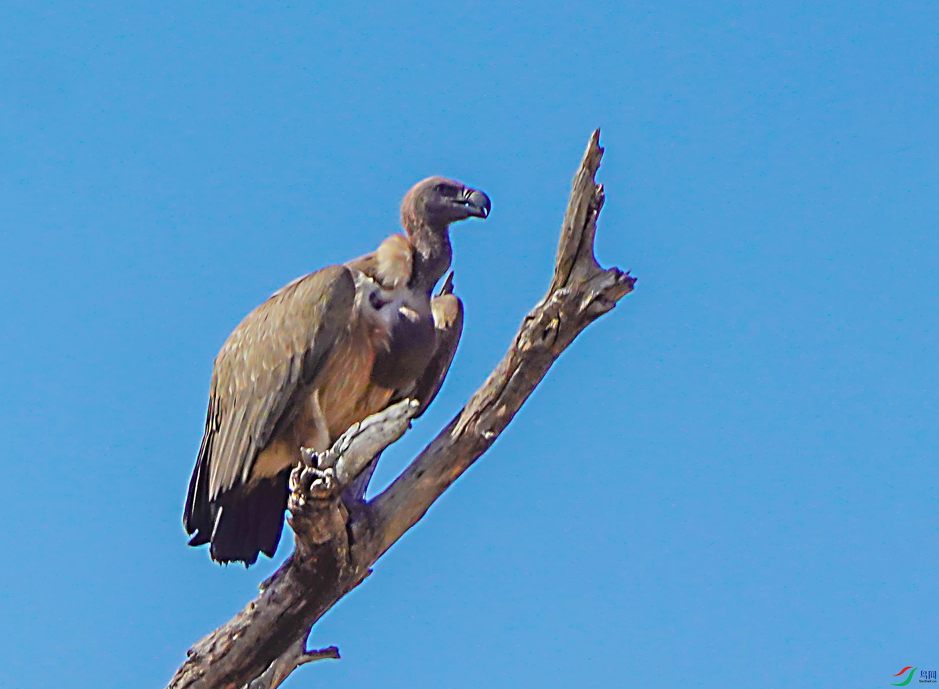 DSC05391-6x.jpg