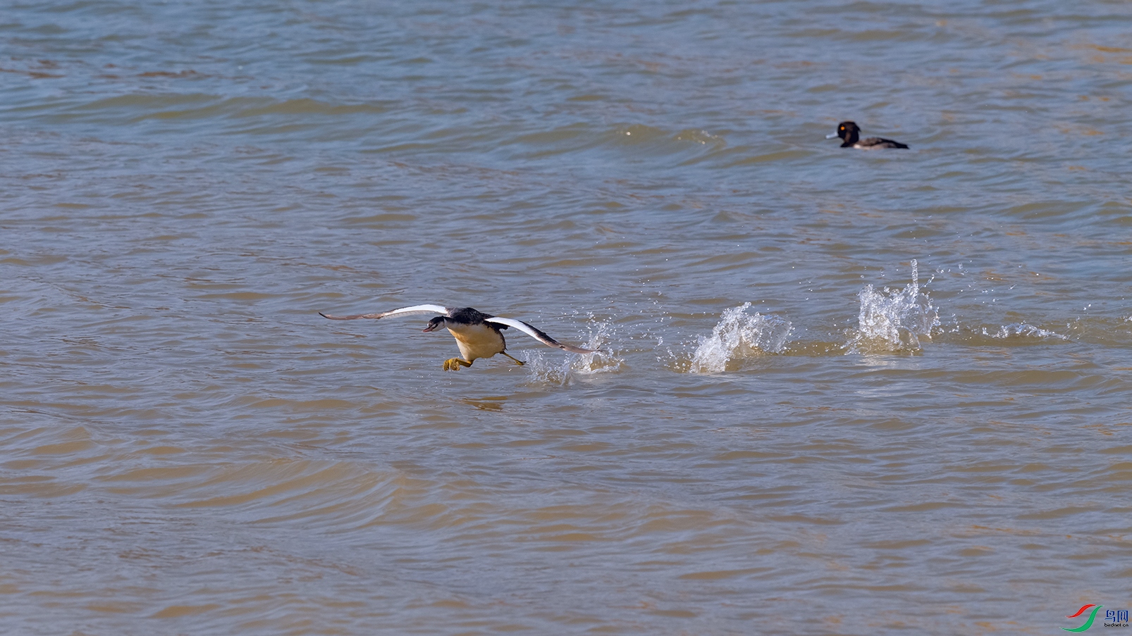 DSC_4173_DxOa.jpg