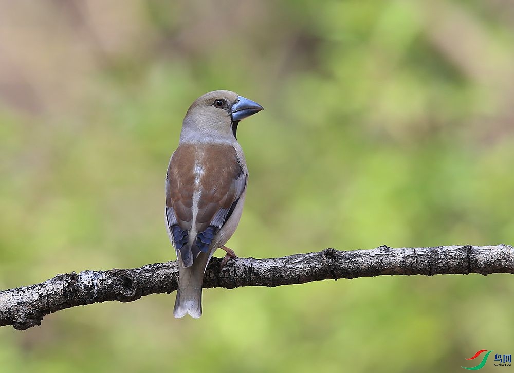 D72T4068.JPG