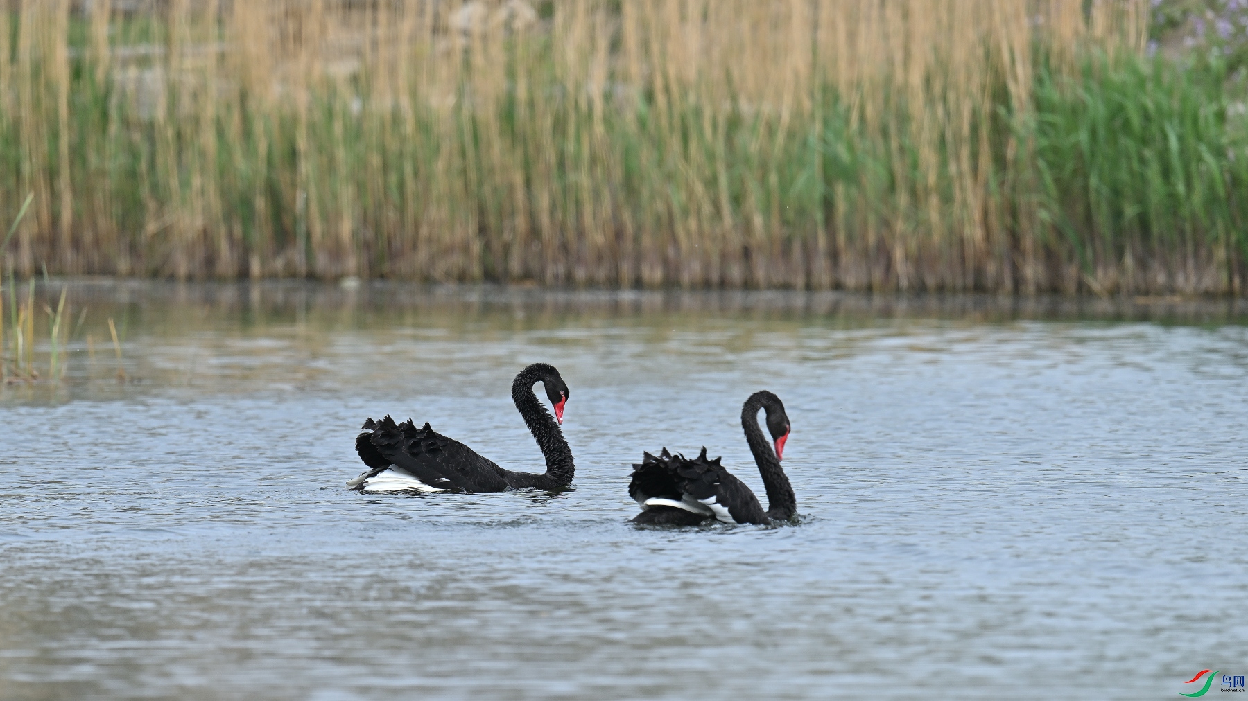 DSC_9481.JPG