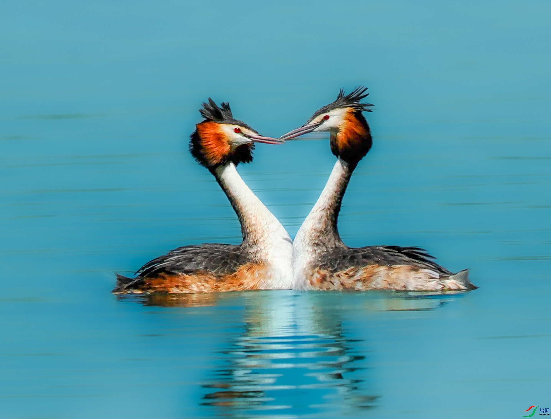 P4070829_���ٿ�ͼ ����.jpg