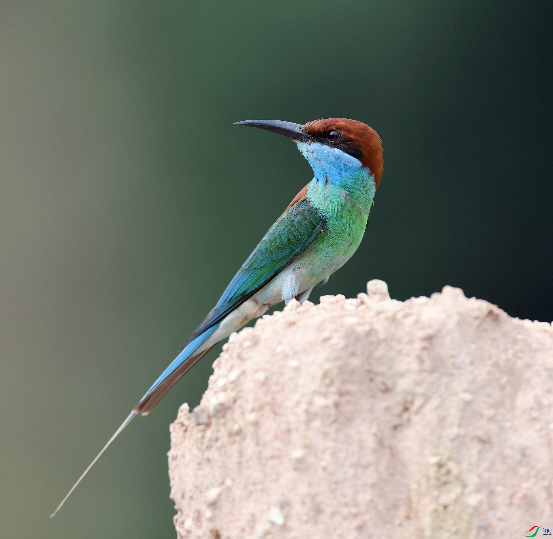 DSC_8726.jpg