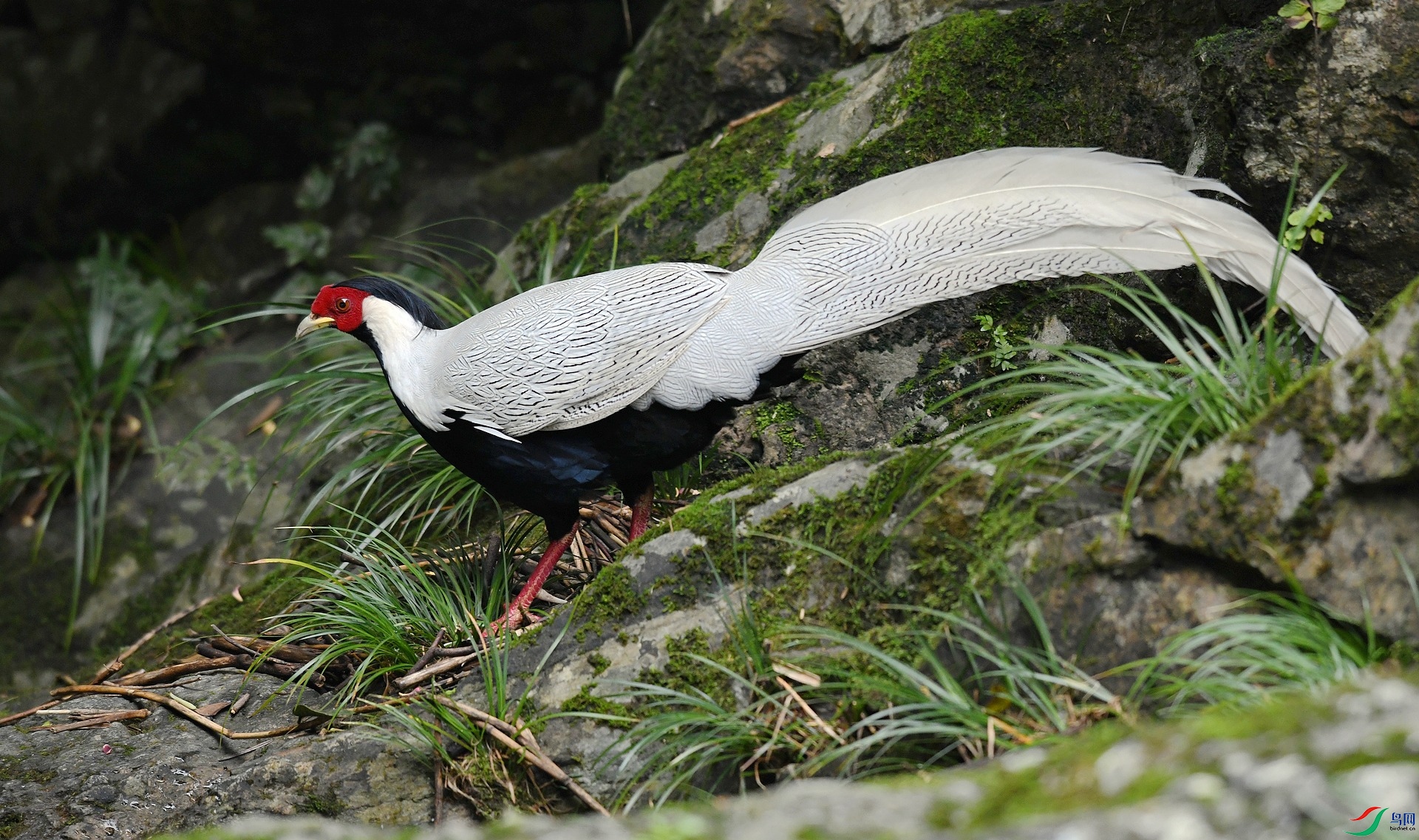 DSC_3483.jpg