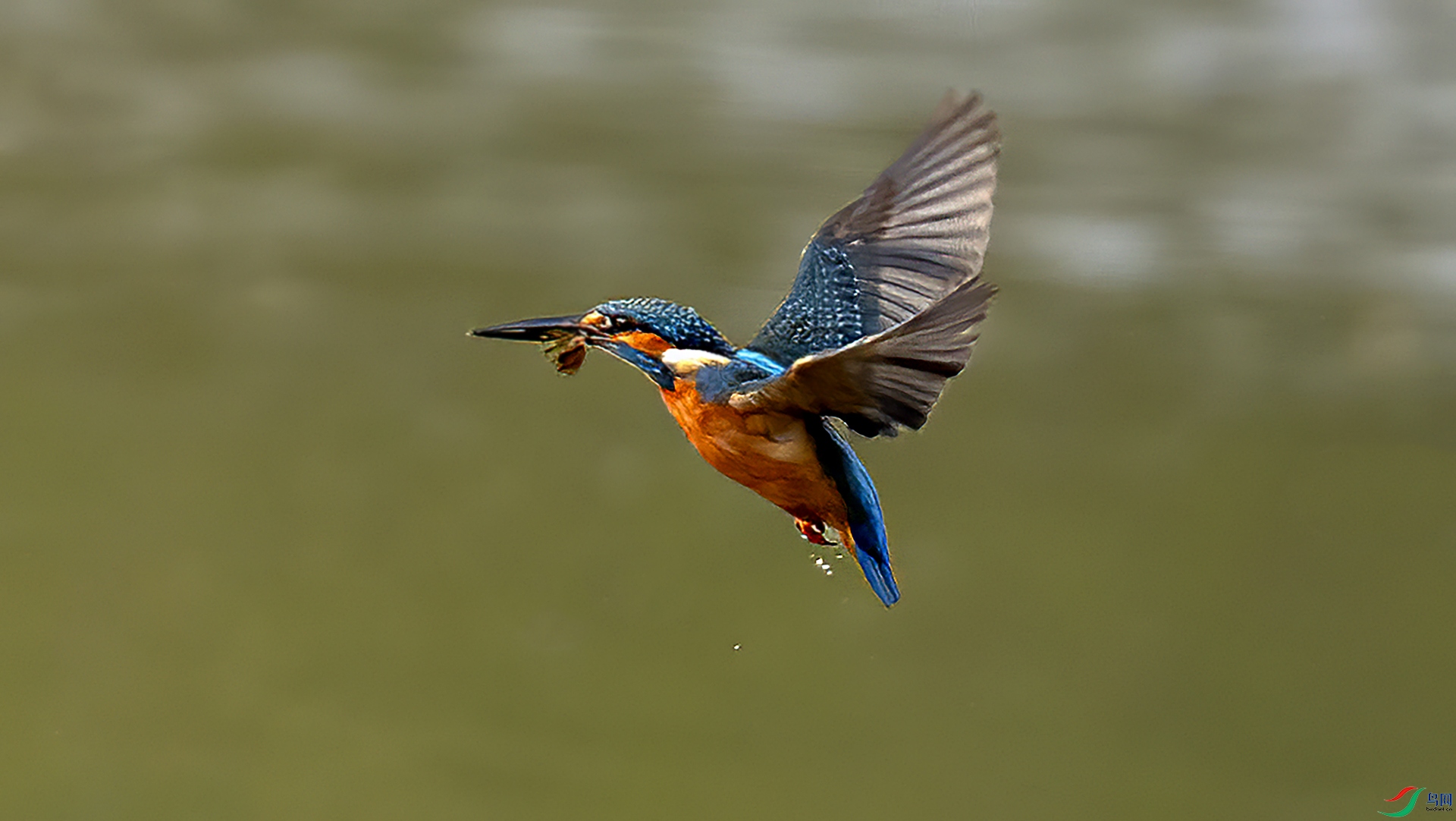 DSC_5161-.jpg