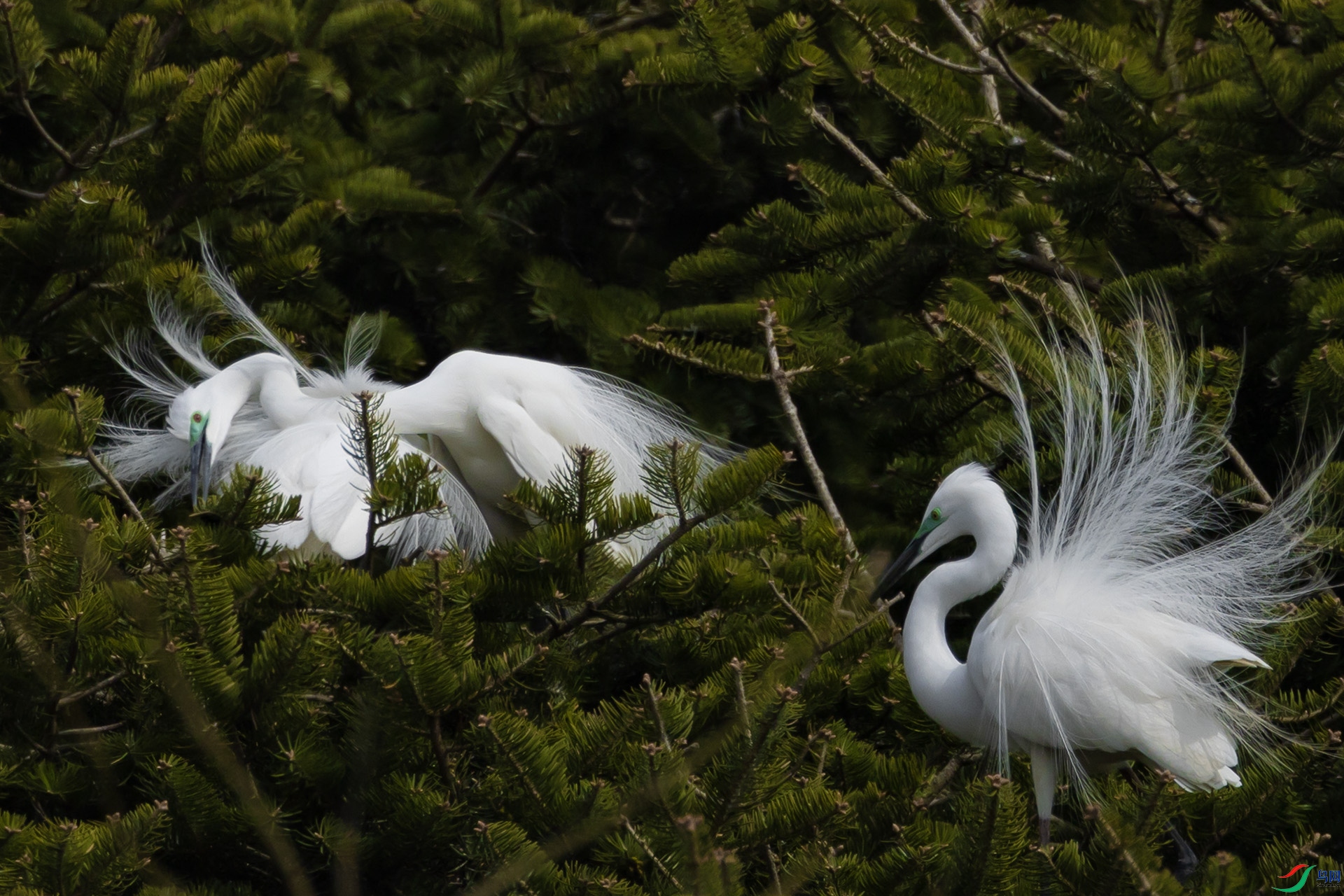 _L3A0798 ����.jpg