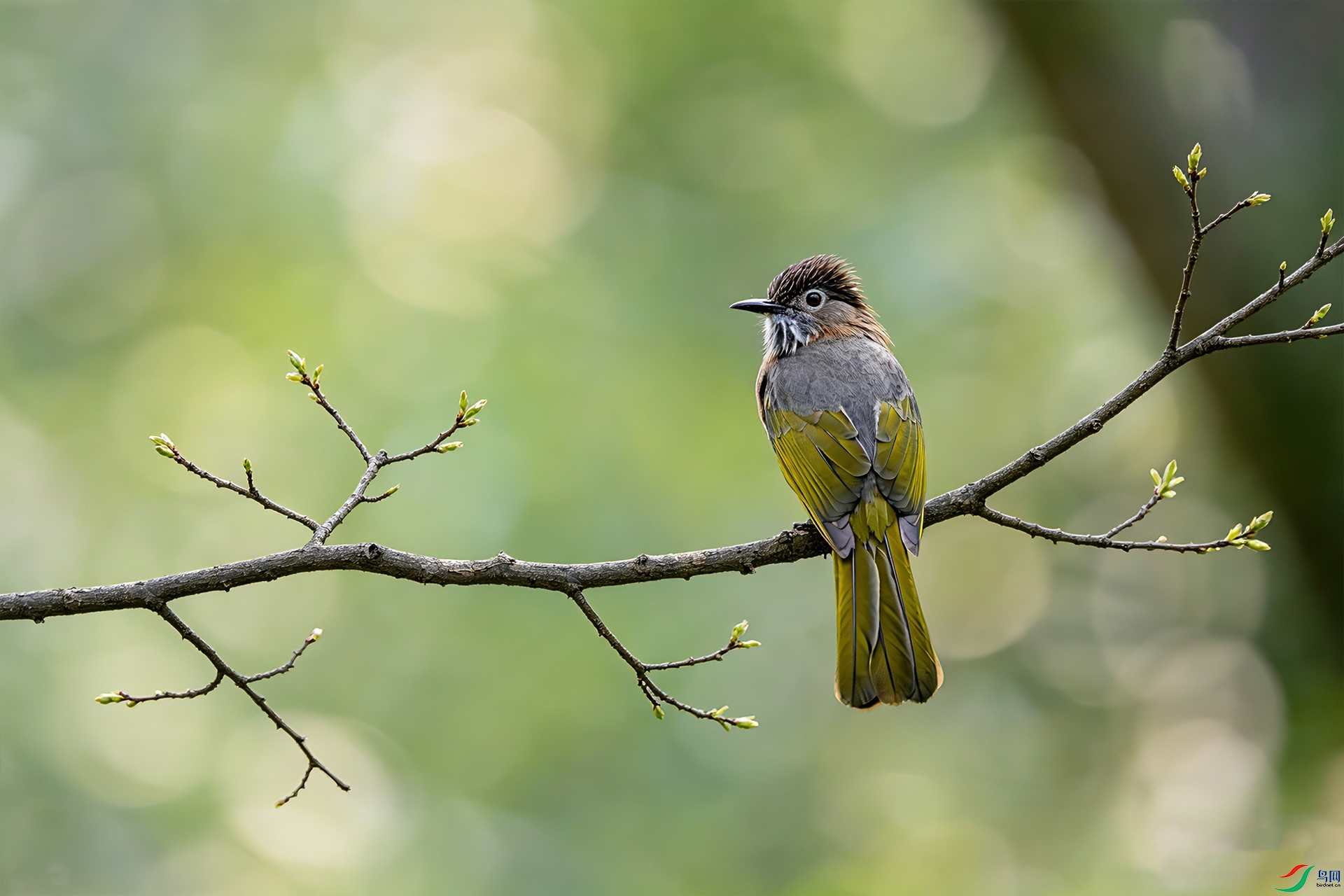 _DSC7132 ����С.jpg