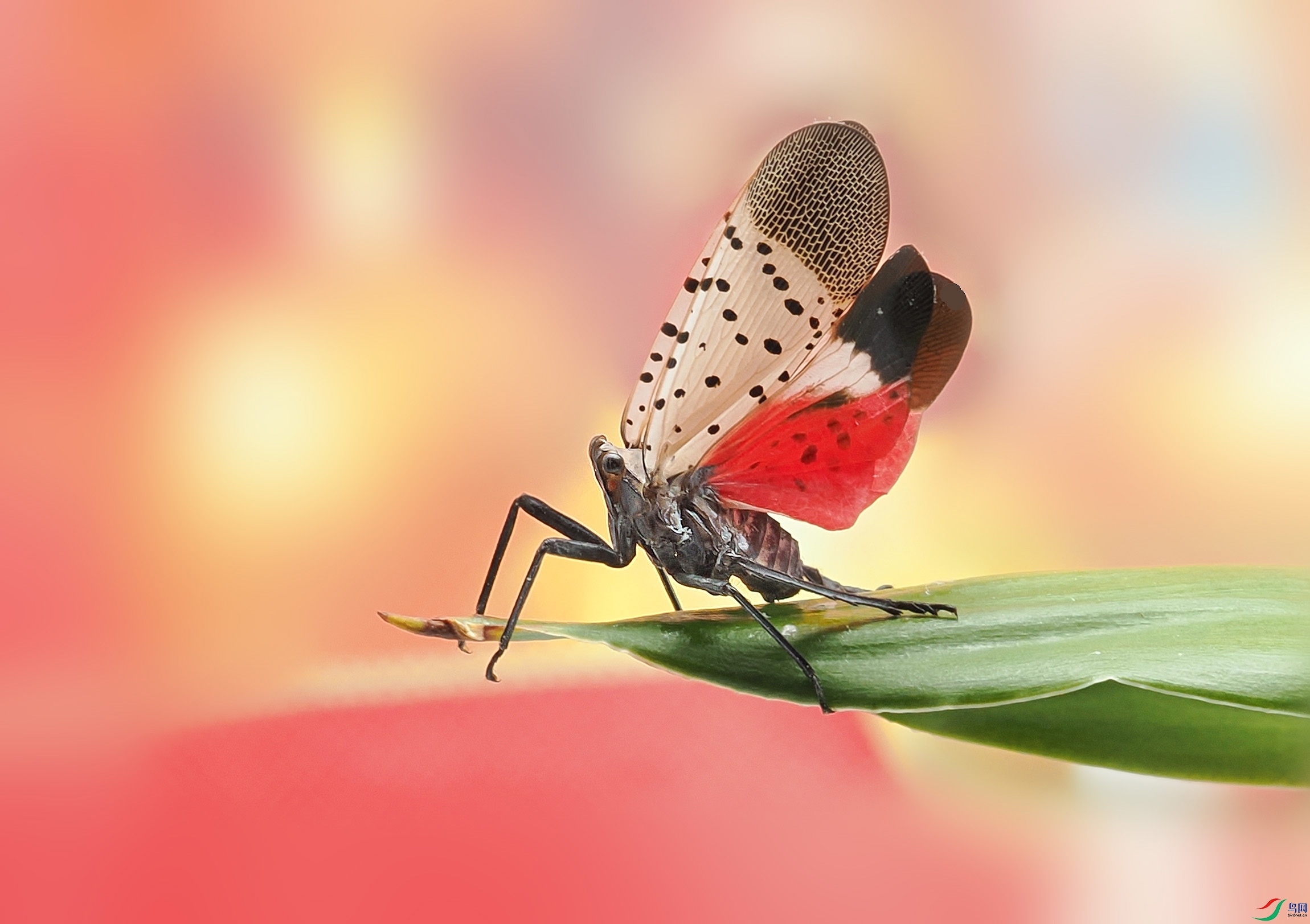 P7210063 ����.jpg