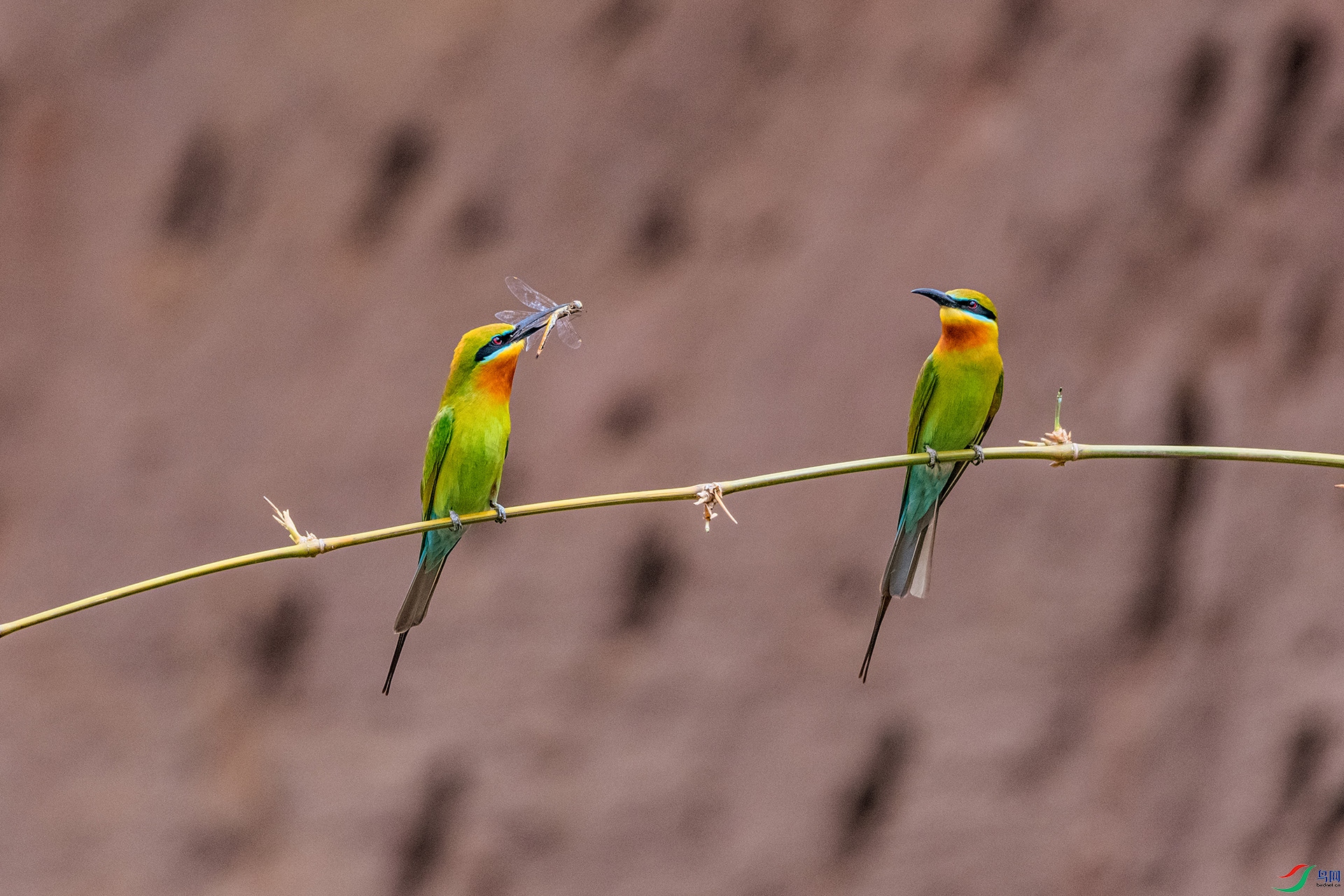 _AUU4011 ���к���(25.5.11).jpg