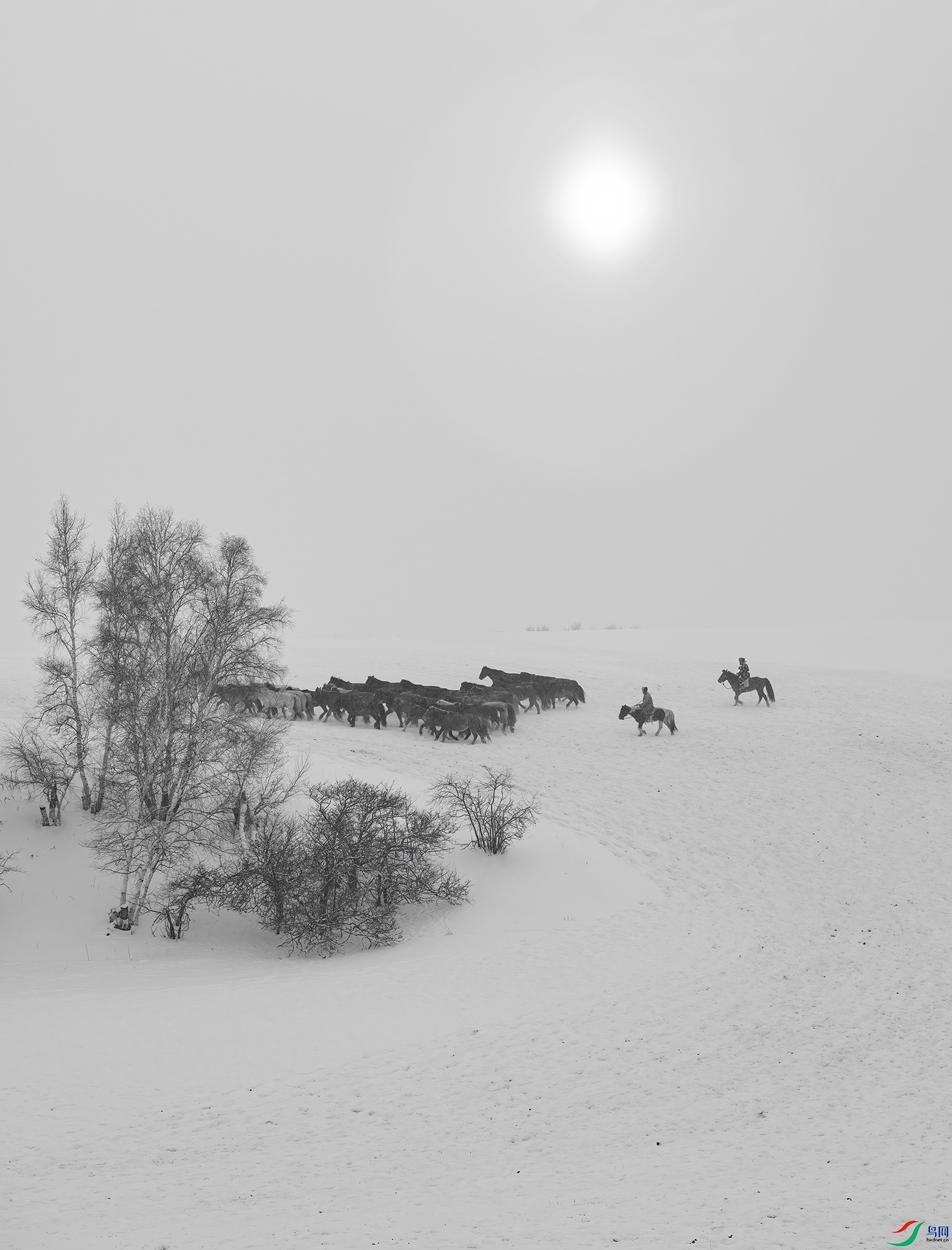 _DSC5619- ����.jpg