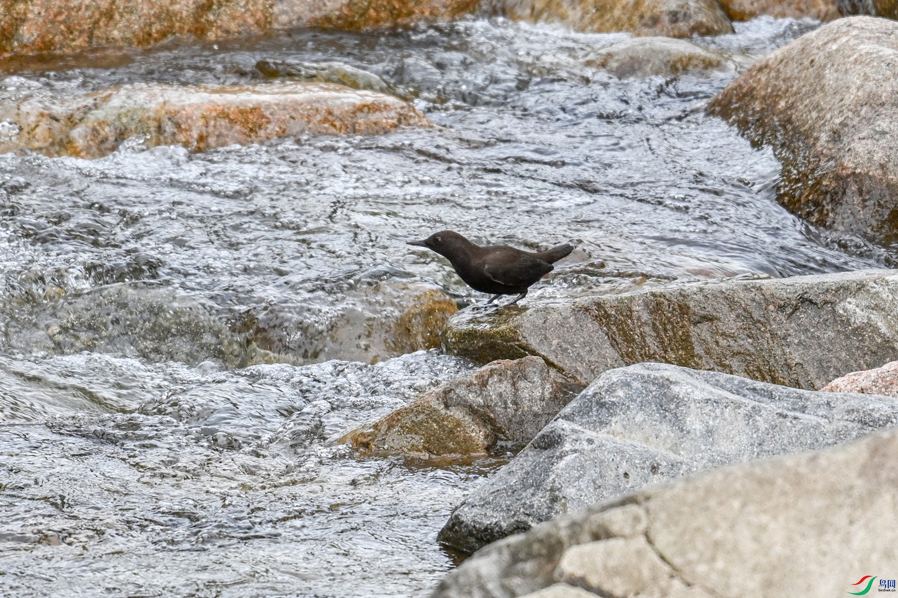 DSC_3504.JPG