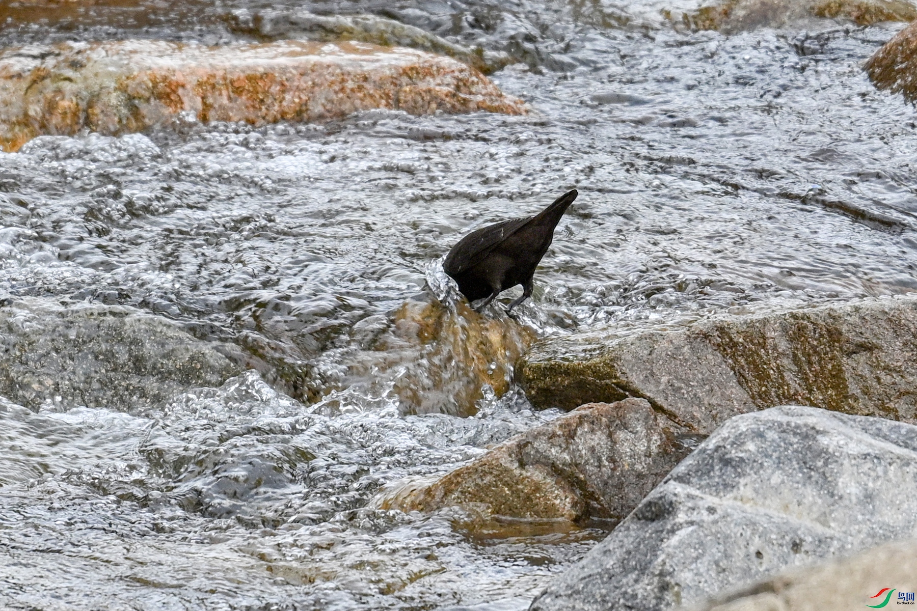 DSC_3505.JPG