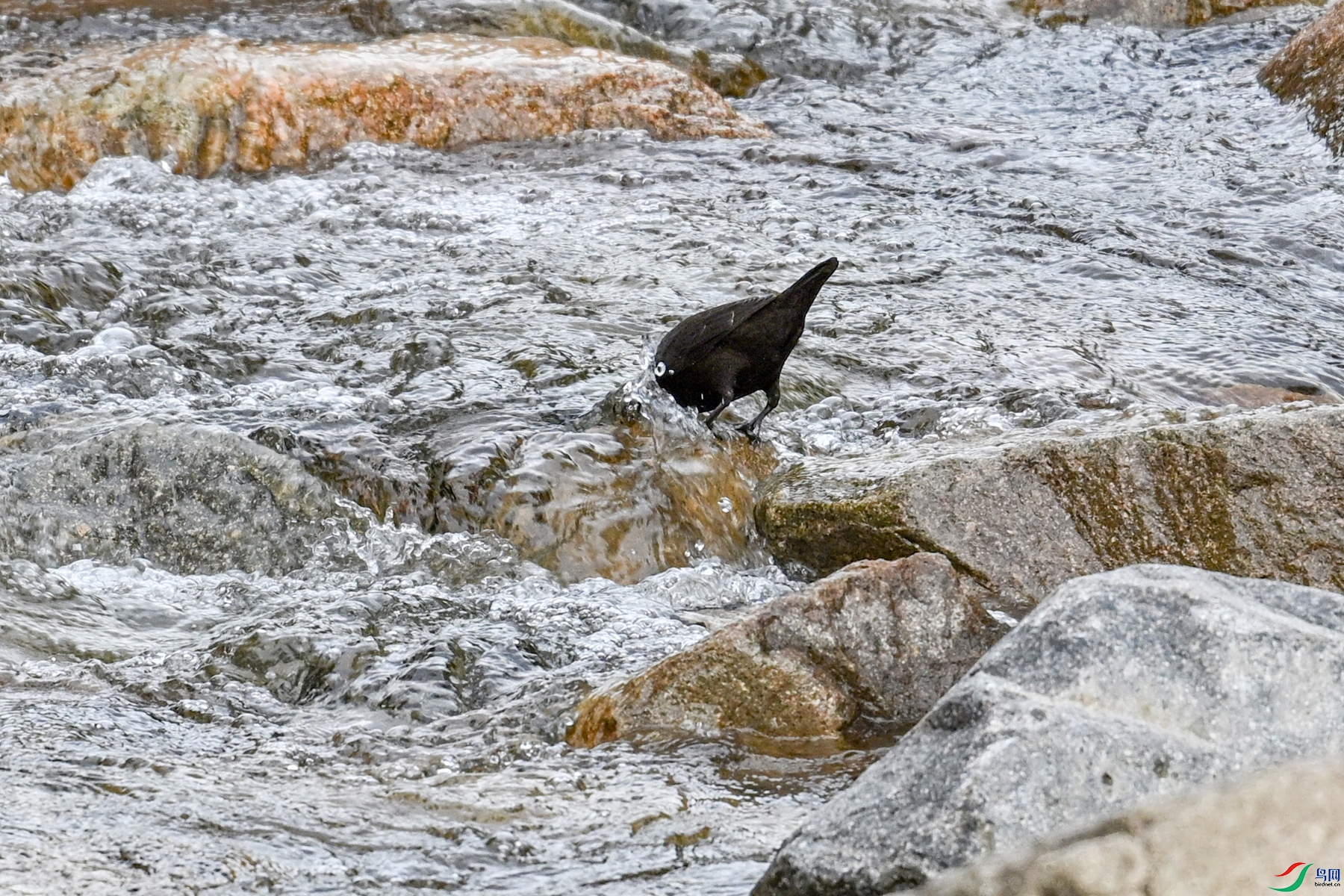 DSC_3507.JPG