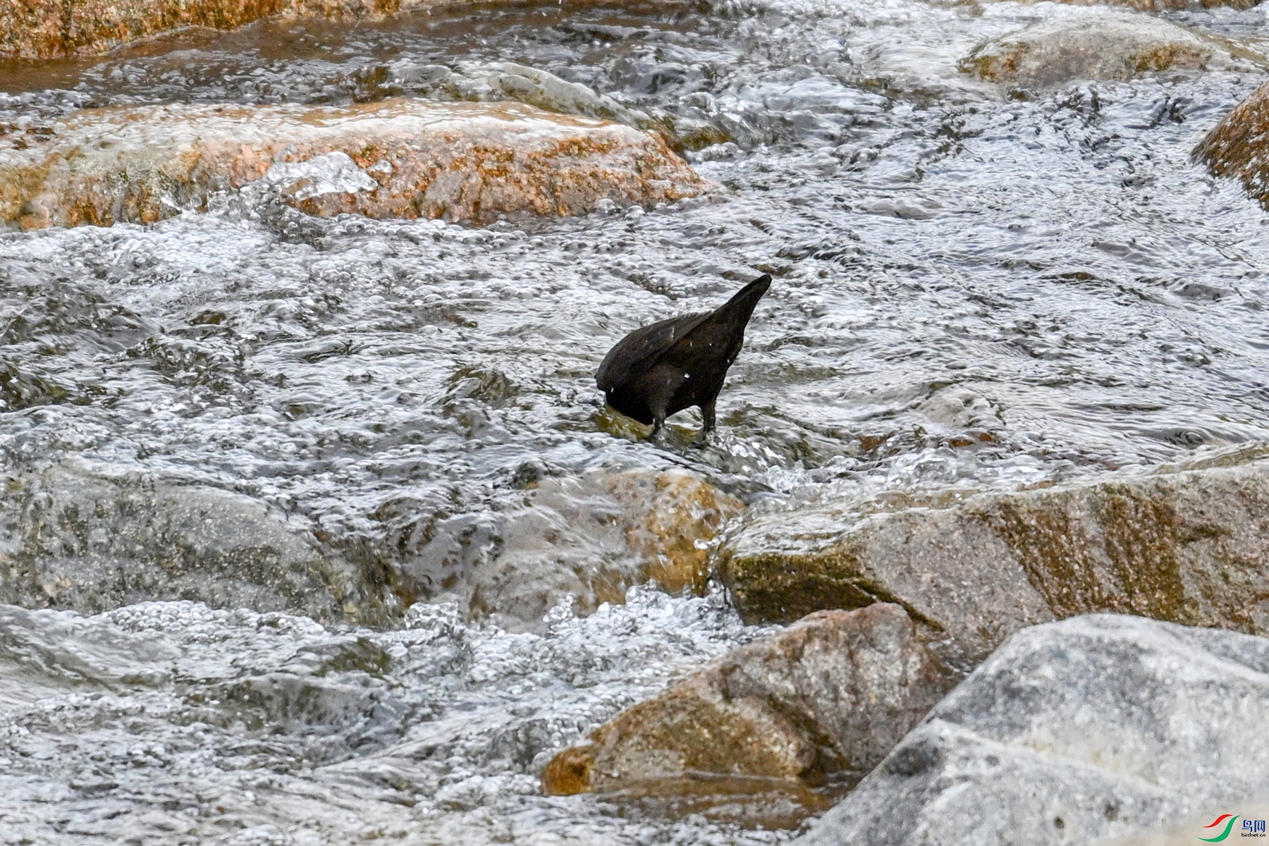 DSC_3509.JPG
