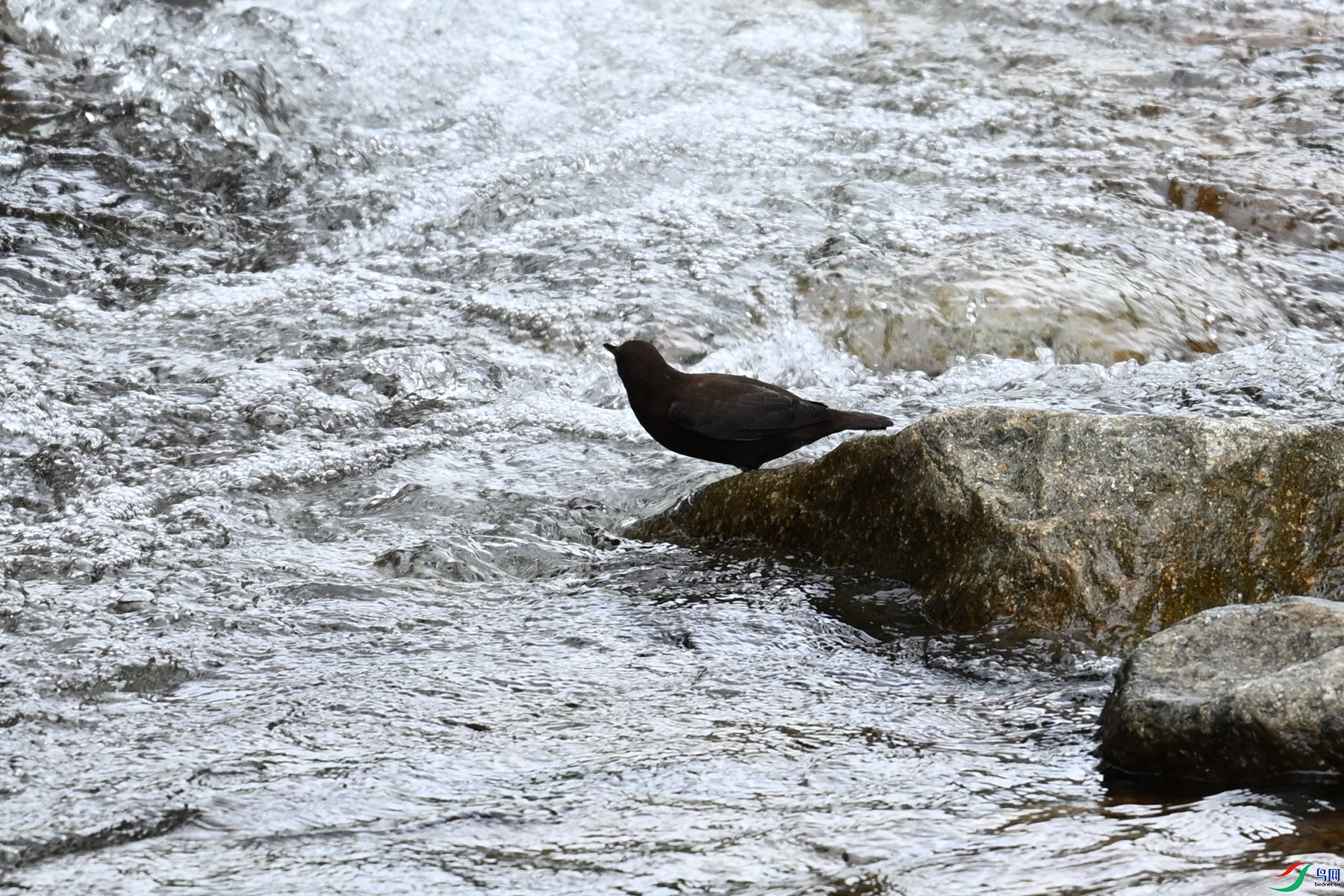 DSC_3536.JPG