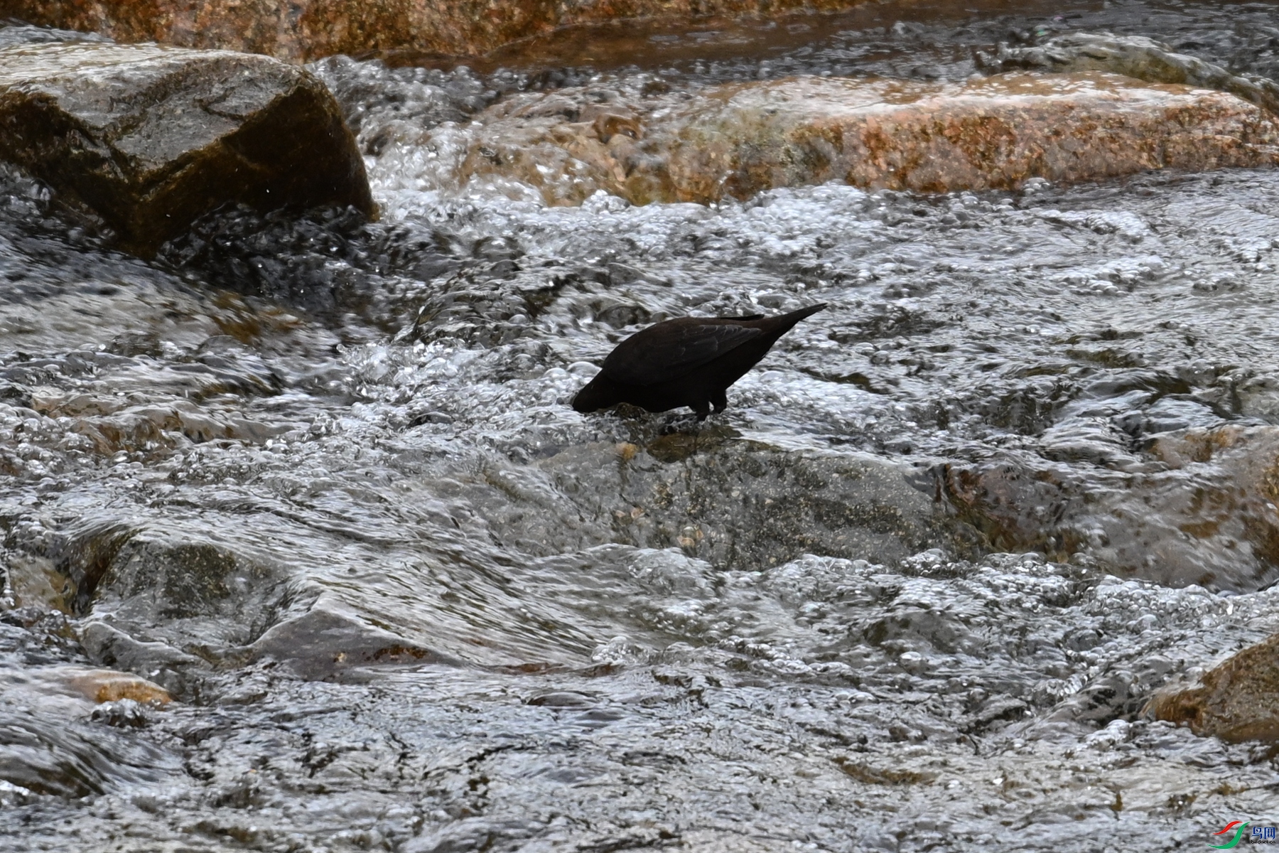 DSC_3522.JPG