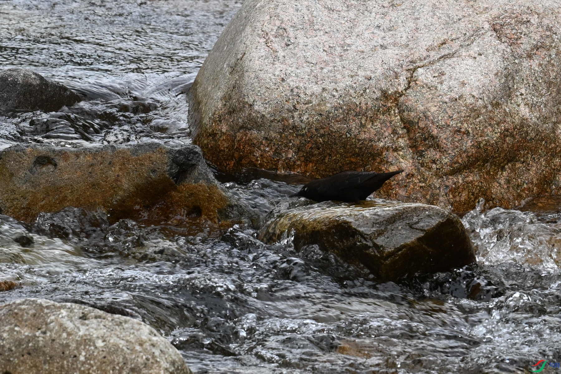 DSC_3520.JPG