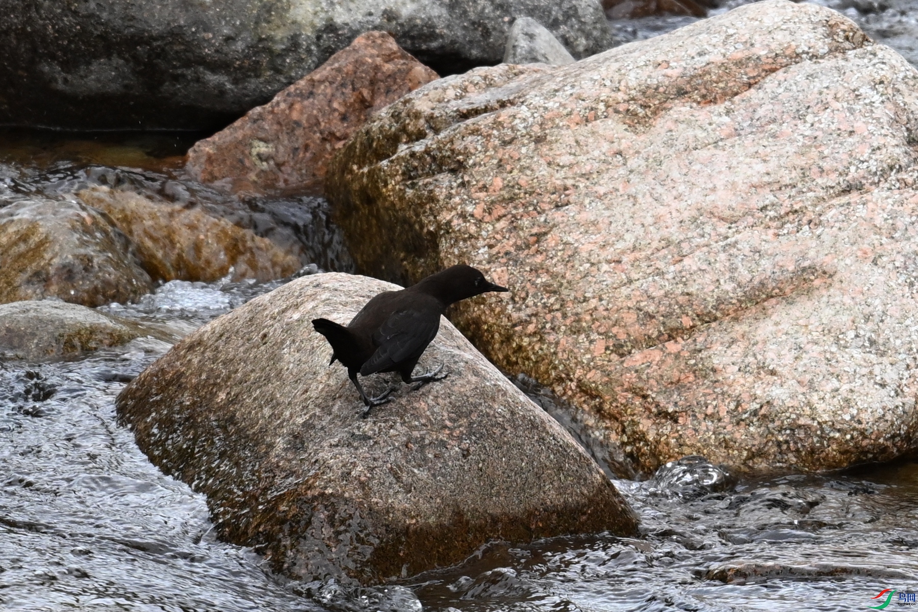 DSC_3513.JPG