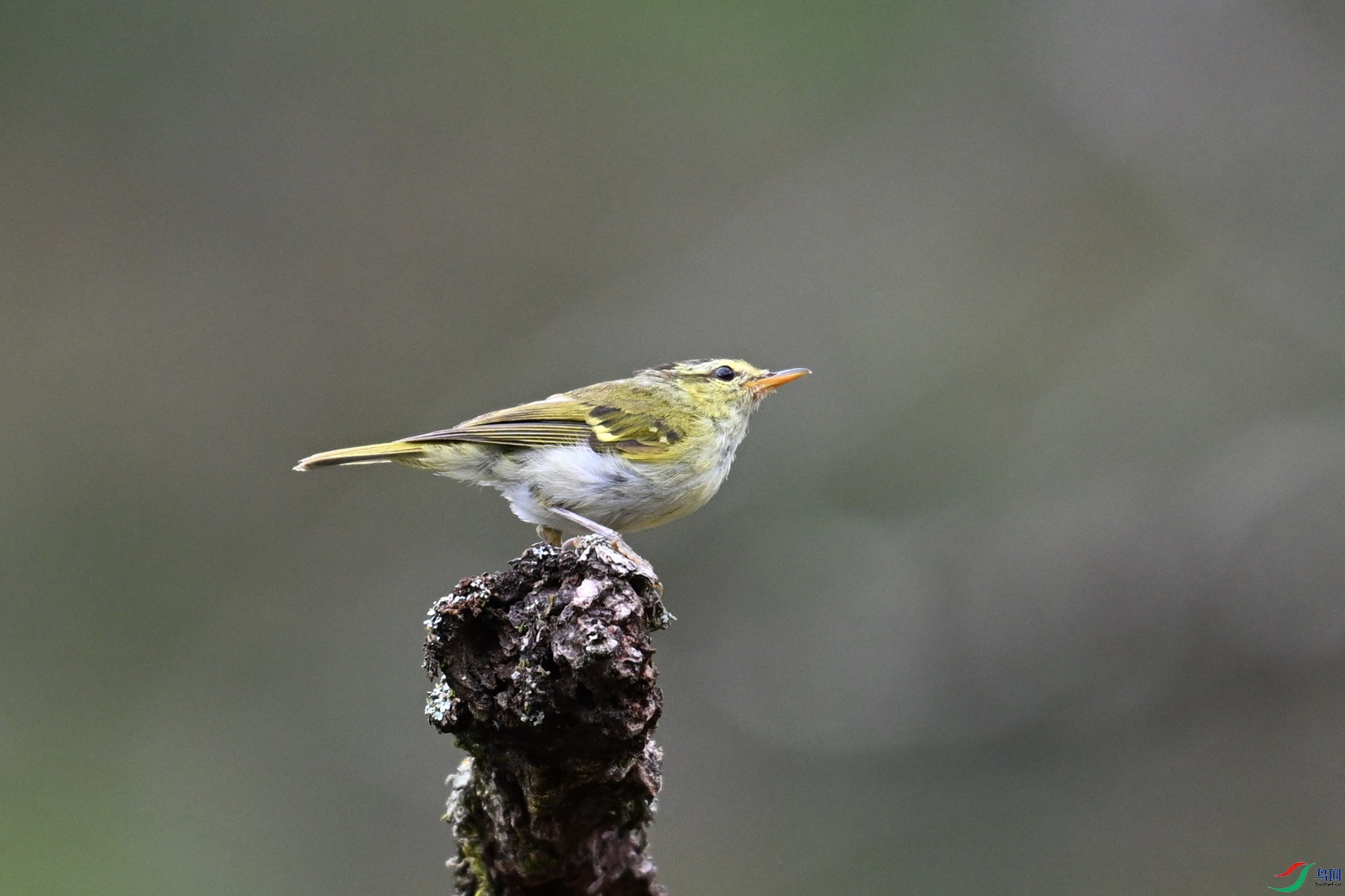 DSC_3465.JPG