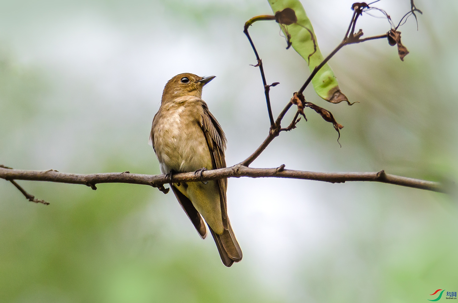 DSC_7171.jpg