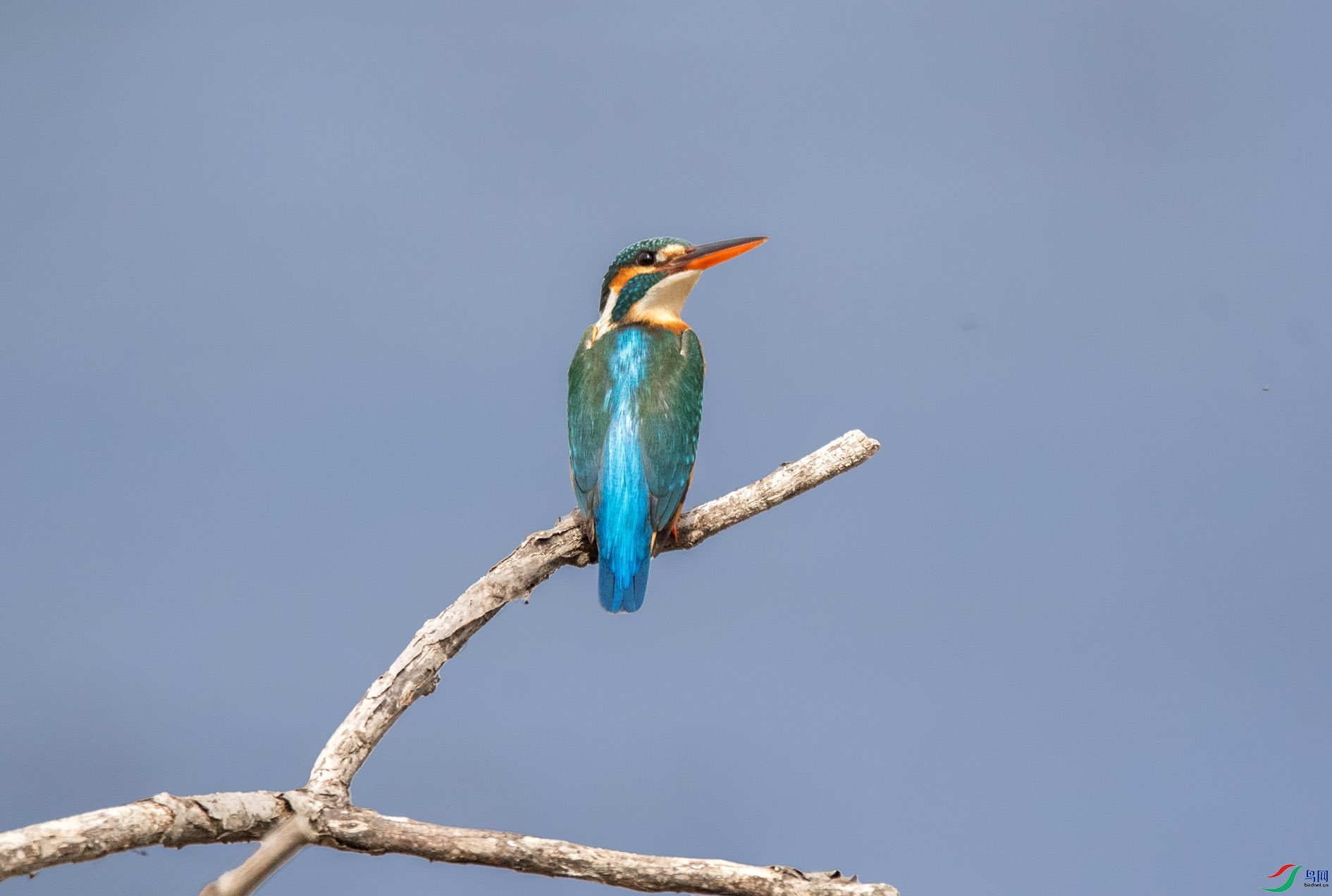 DSC_3306_��ͼ�� ����.jpg