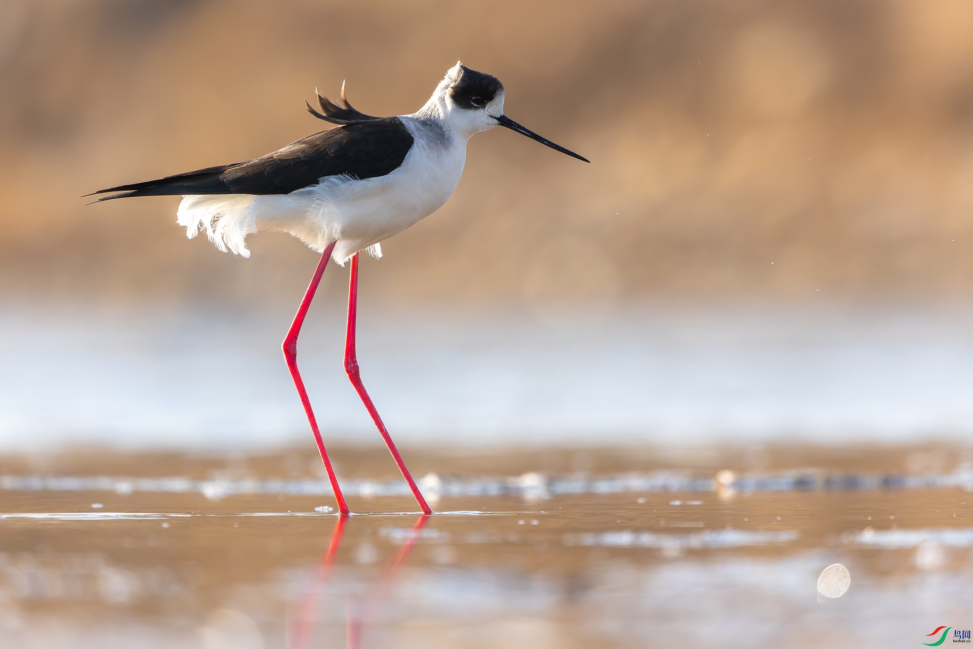 20260411-DSC06002 ����.jpg