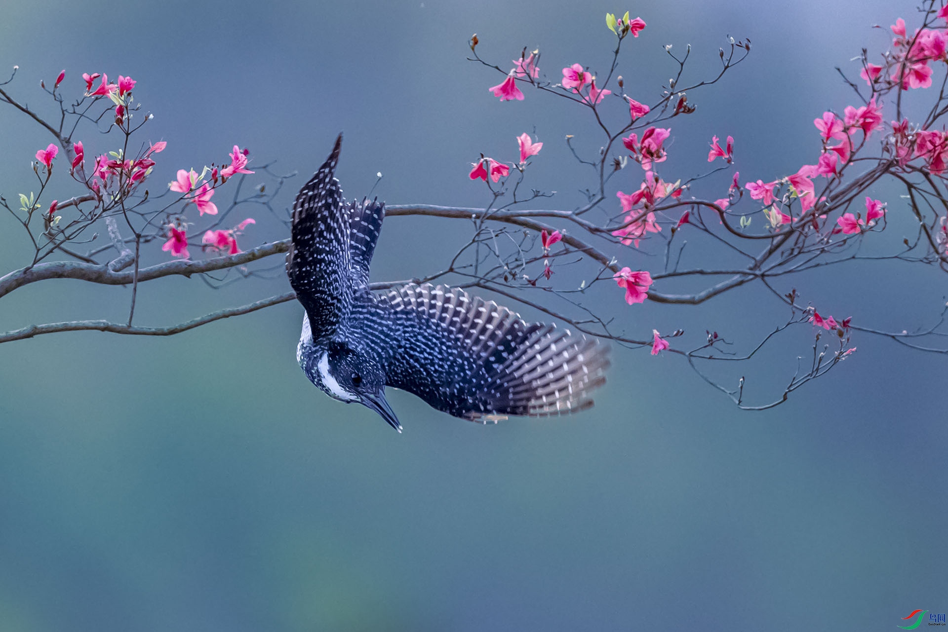 AF3I4351 ����1111.jpg