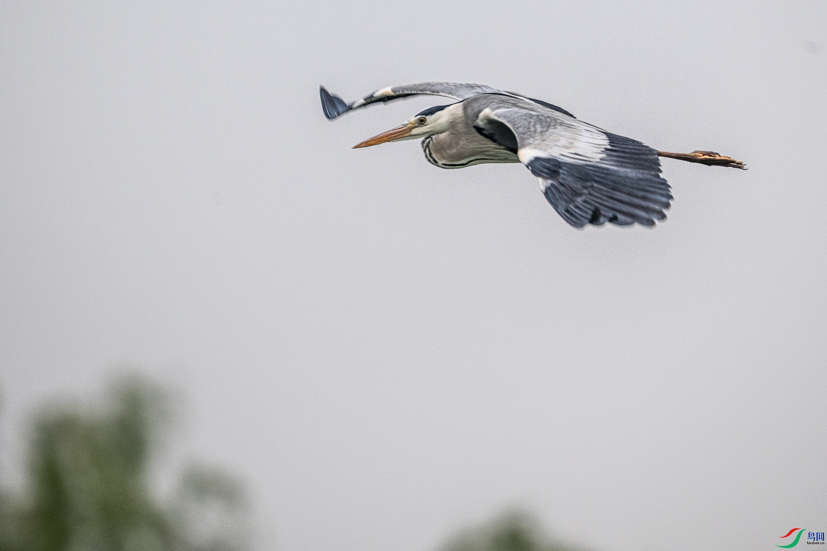DSC_6610_2.jpg