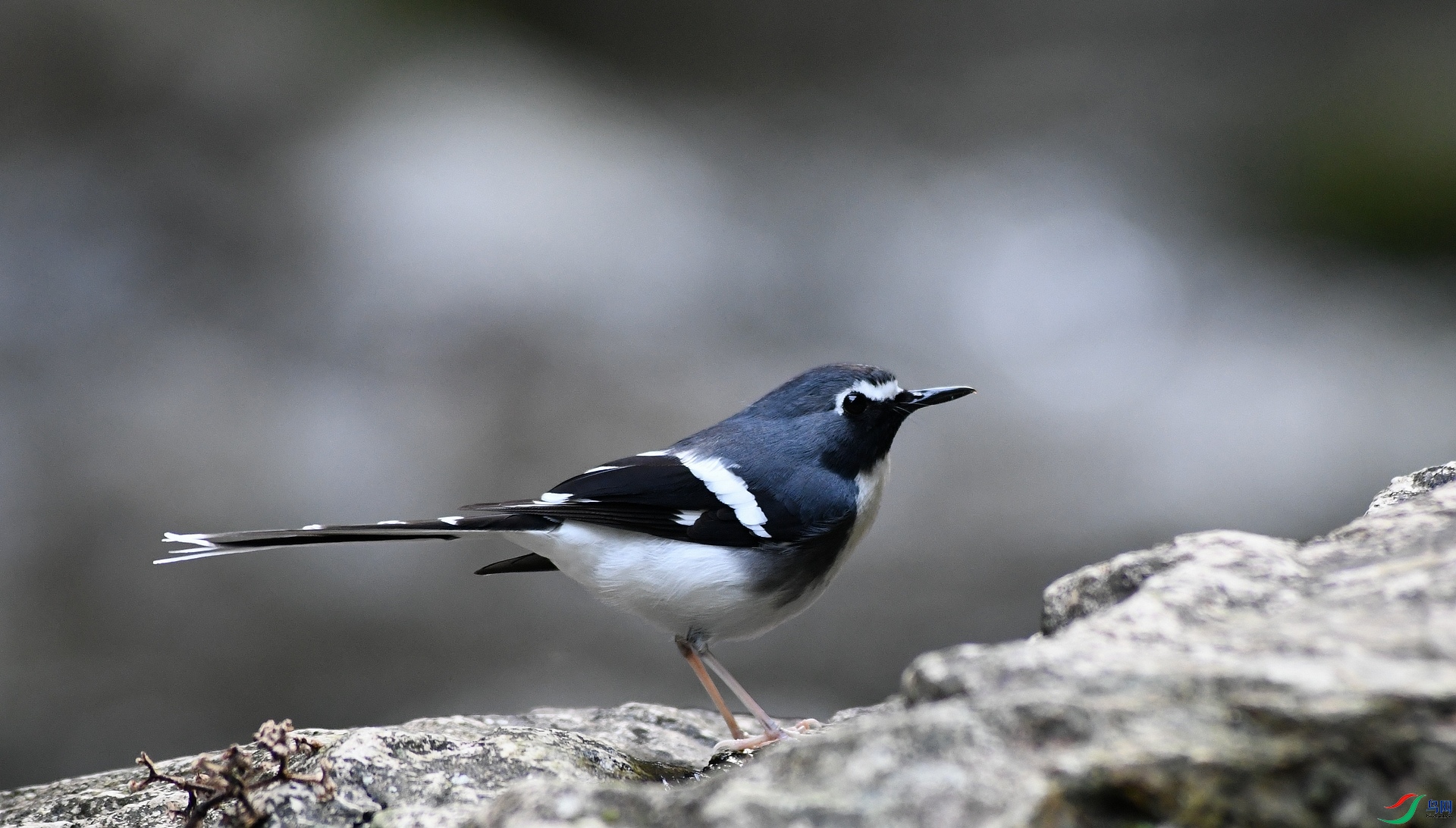 DSC_1539.jpg