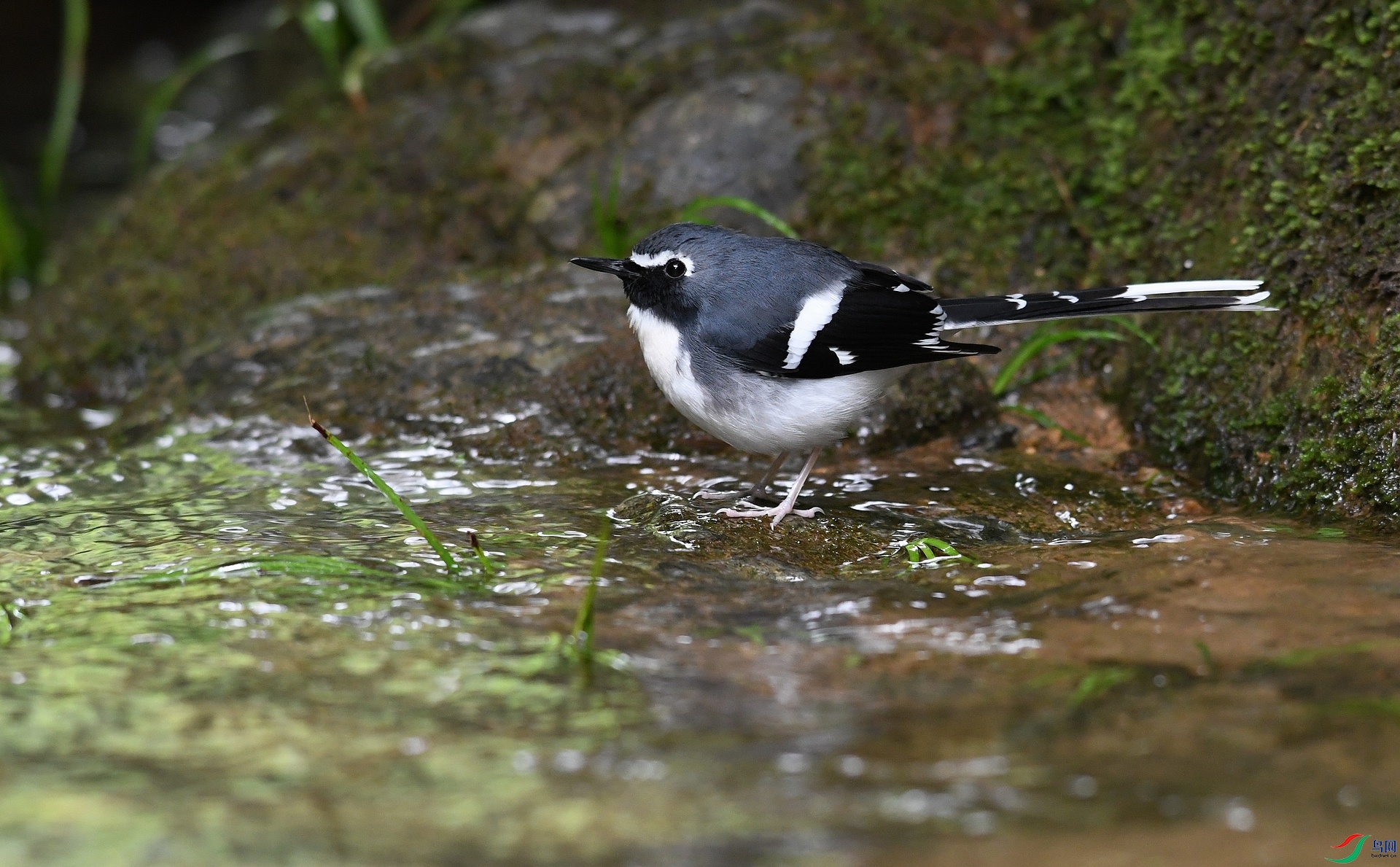 DSC_3545.jpg