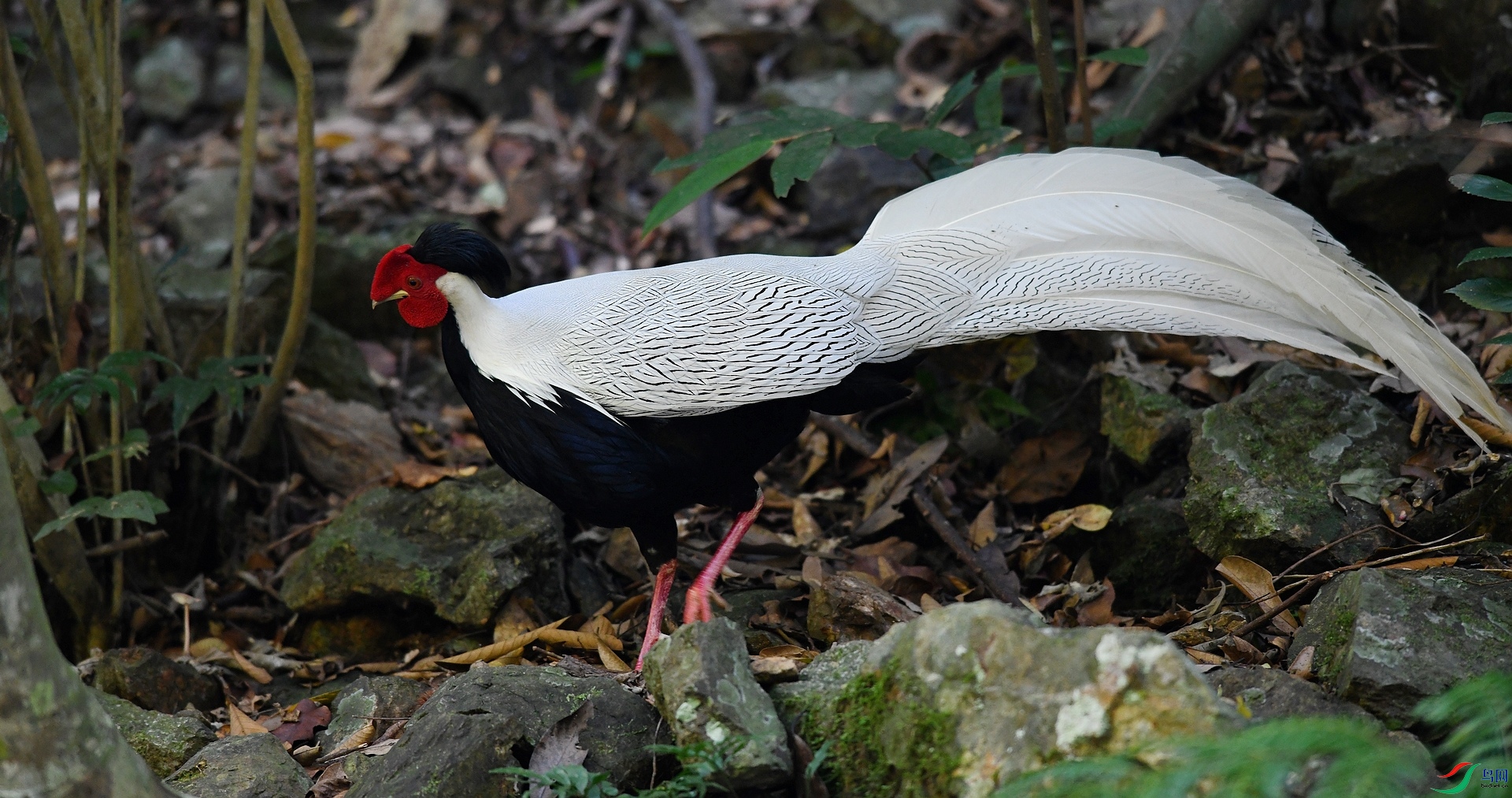DSC_2218.jpg