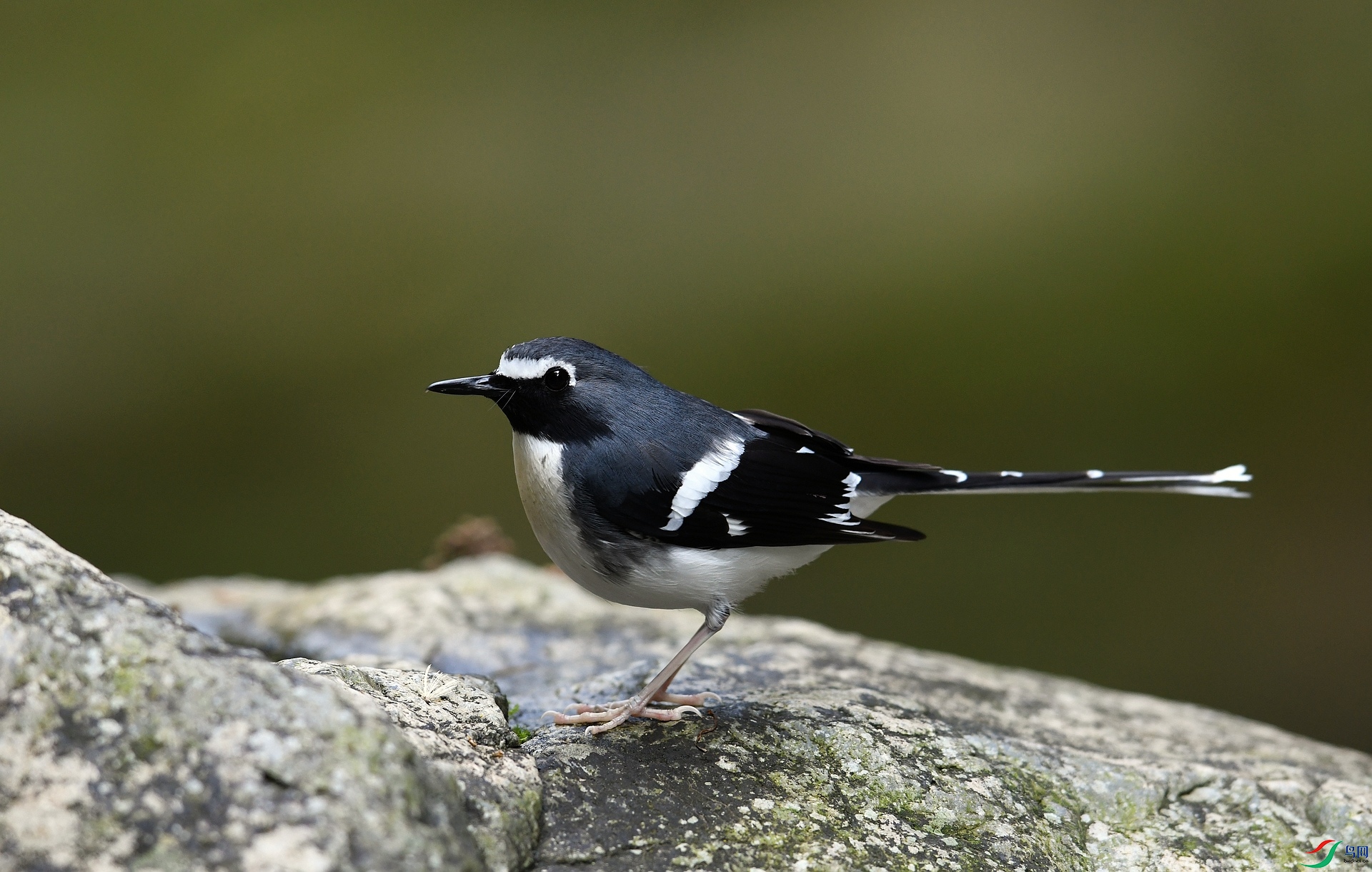 DSC_2160.jpg