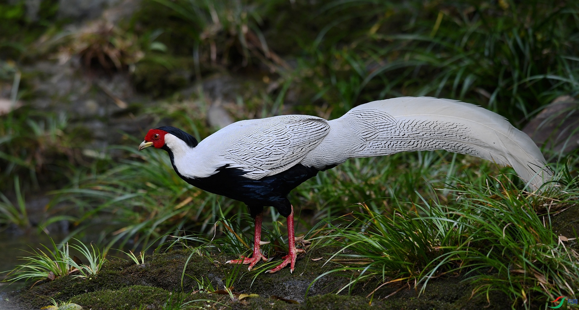 DSC_5218.jpg