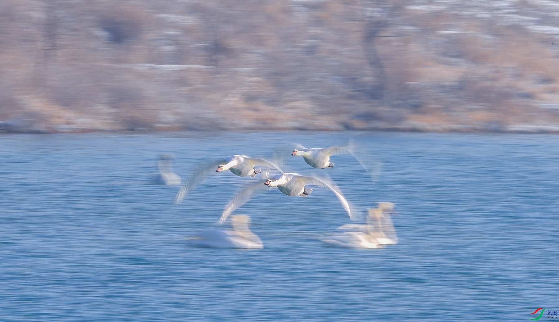 DSC_0315_����.jpg