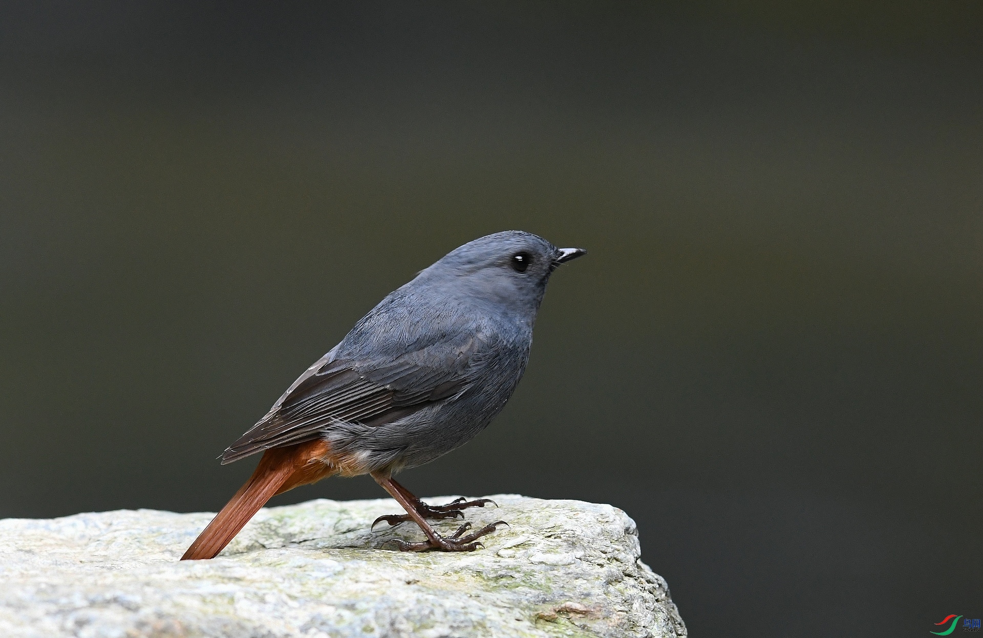 DSC_6697.jpg